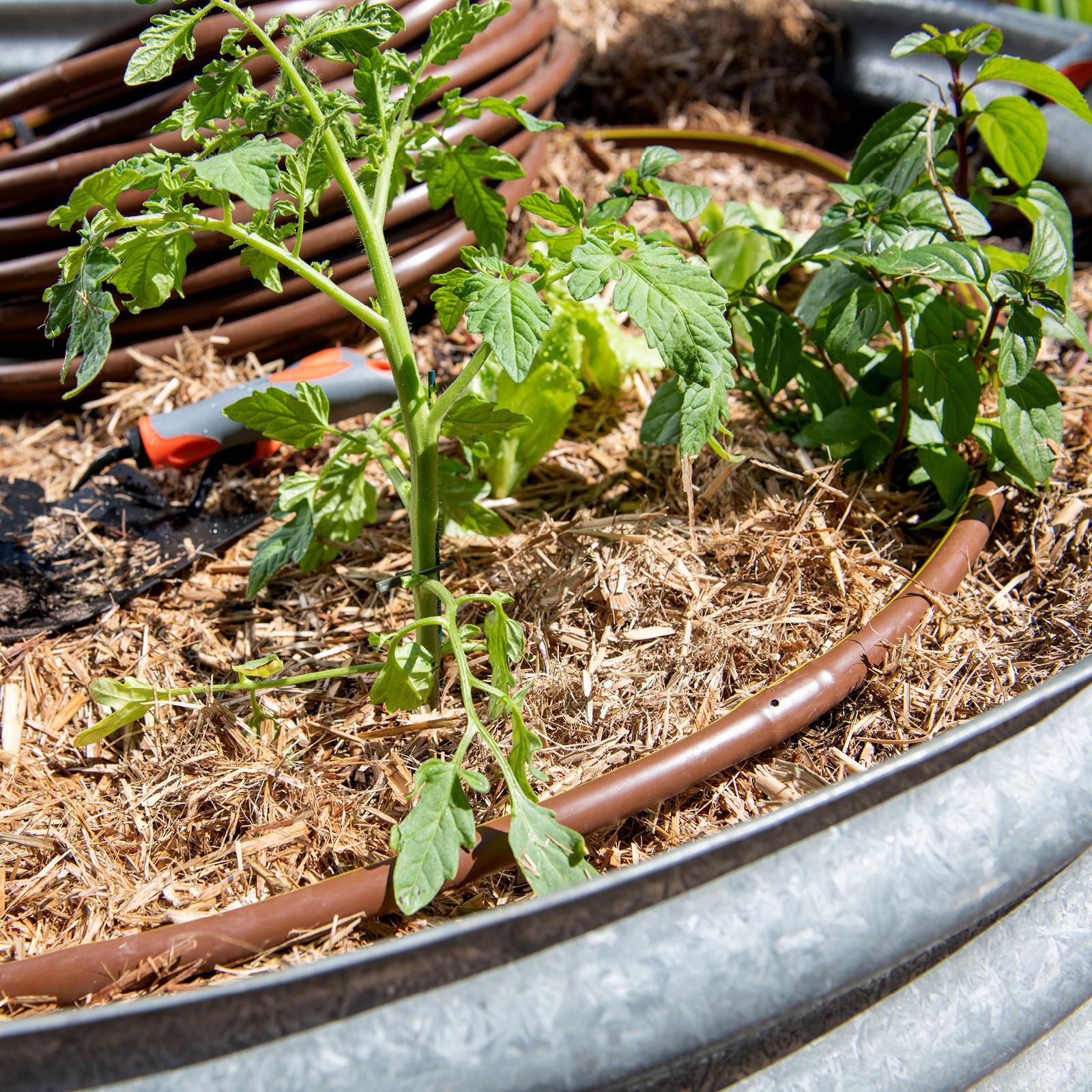 Pope 13mm x 30m Drip Eze Drip Irrigation Tube 6 Pope 13mm x 30m Drip Eze Drip Irrigation Tube