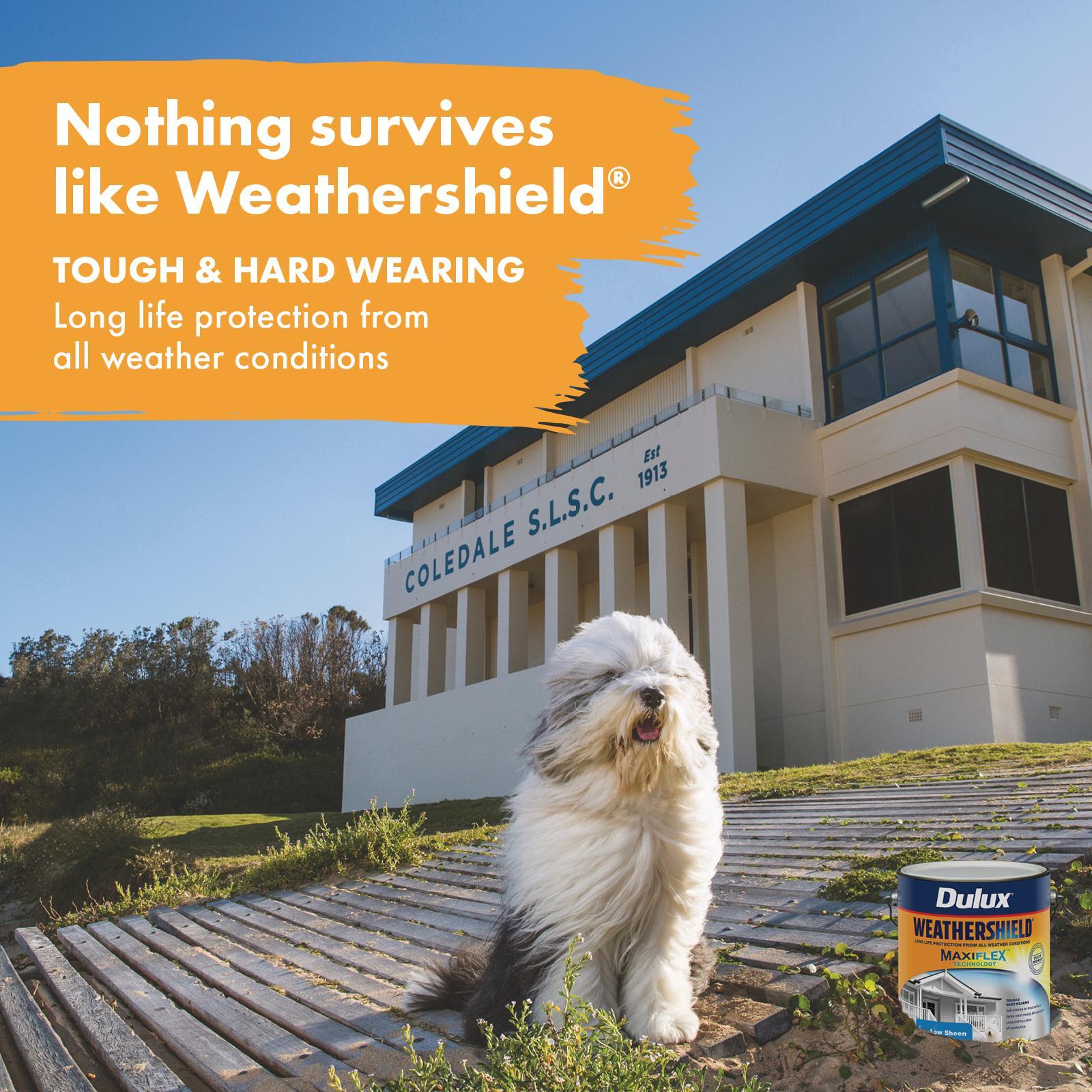 Dulux 4L Exterior Paint Weathershield Low Sheen Black - 4L 3 Dulux 4L Exterior Paint Weathershield Low Sheen Black - 4L