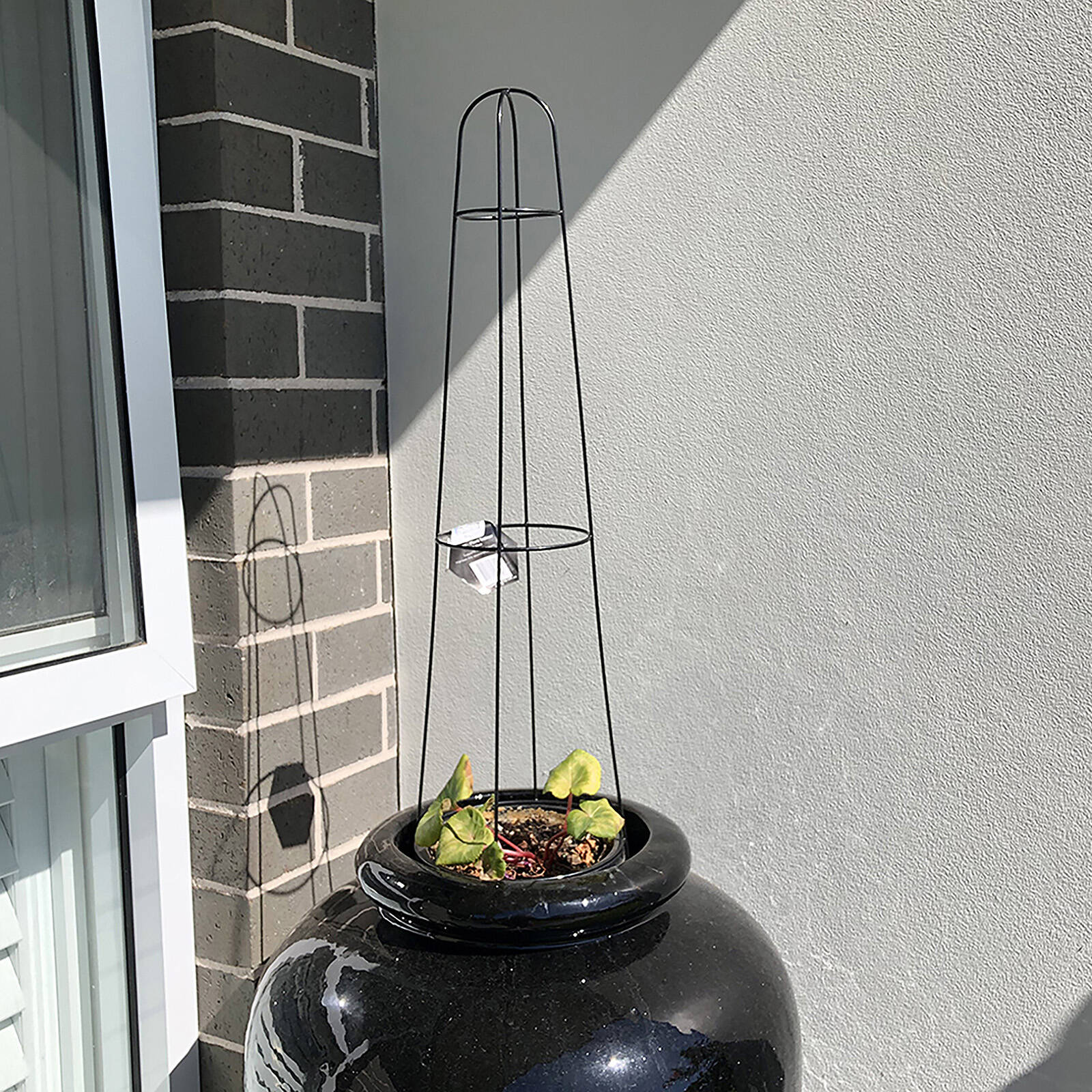 Jack 75cm Black Cone Plant Trainer