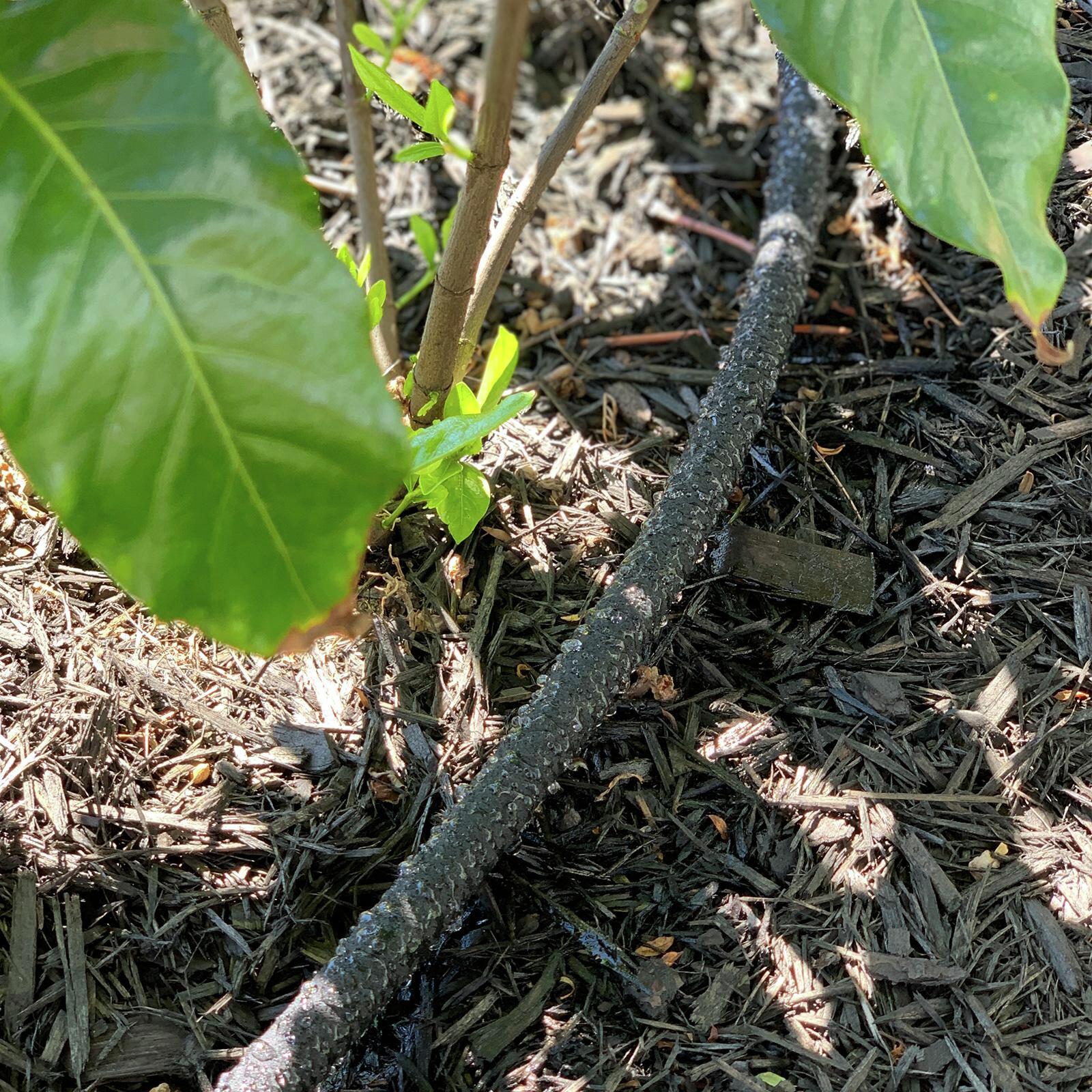 Holman 15m Weeper Hose 3 Holman 15m Weeper Hose