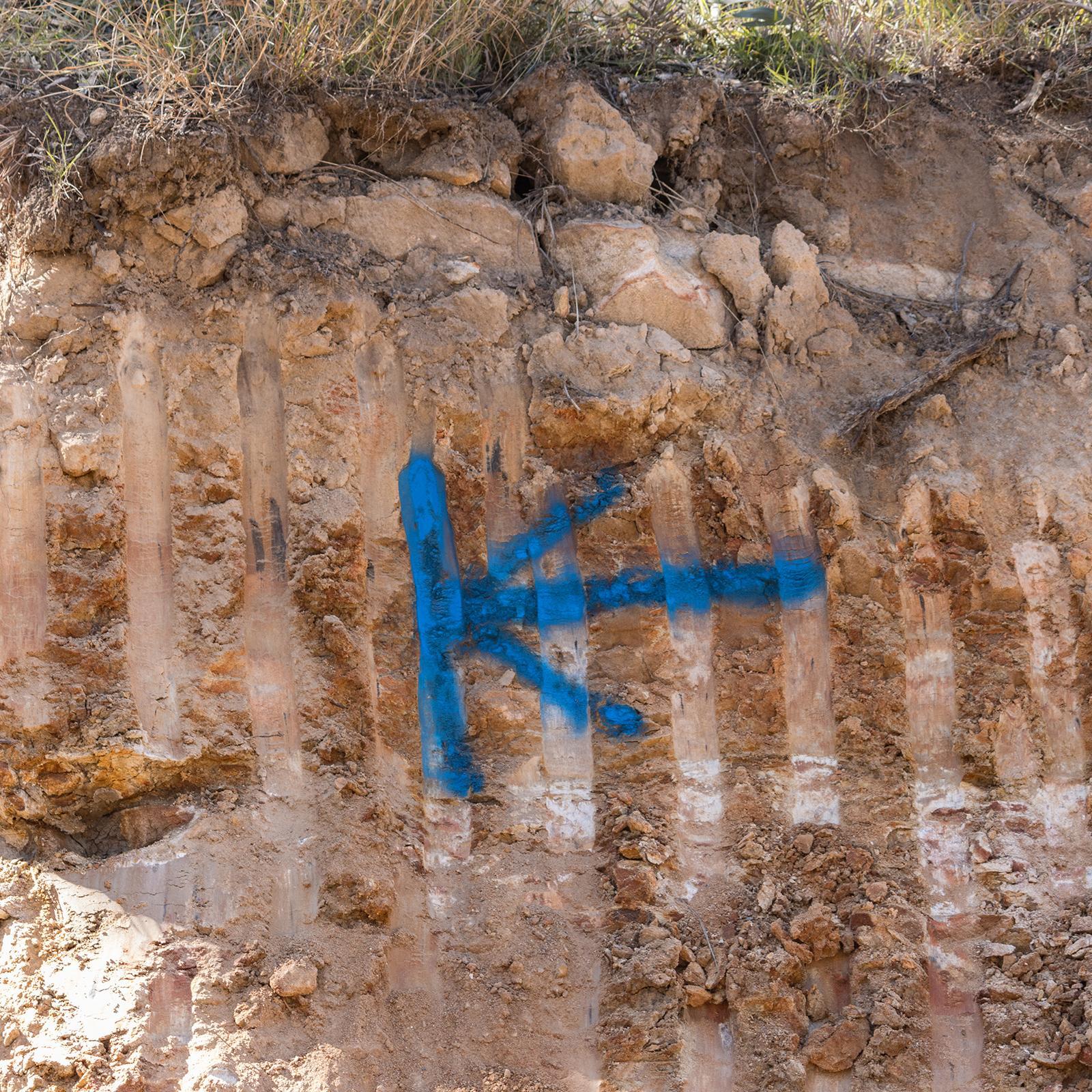 Dy-Mark 350g Fluoro Violet Spray And Mark Paint