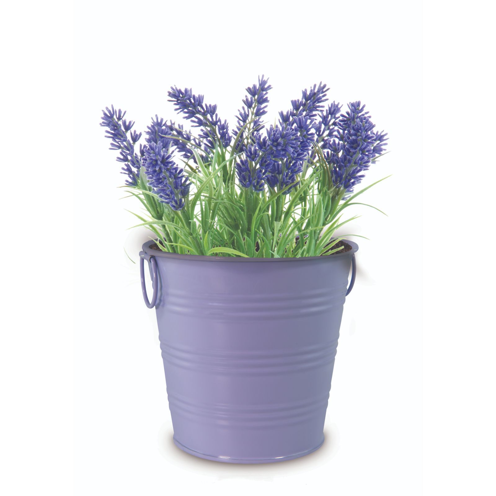 Mr Fothergill's Boutique Gardens Lavender Grow Kit