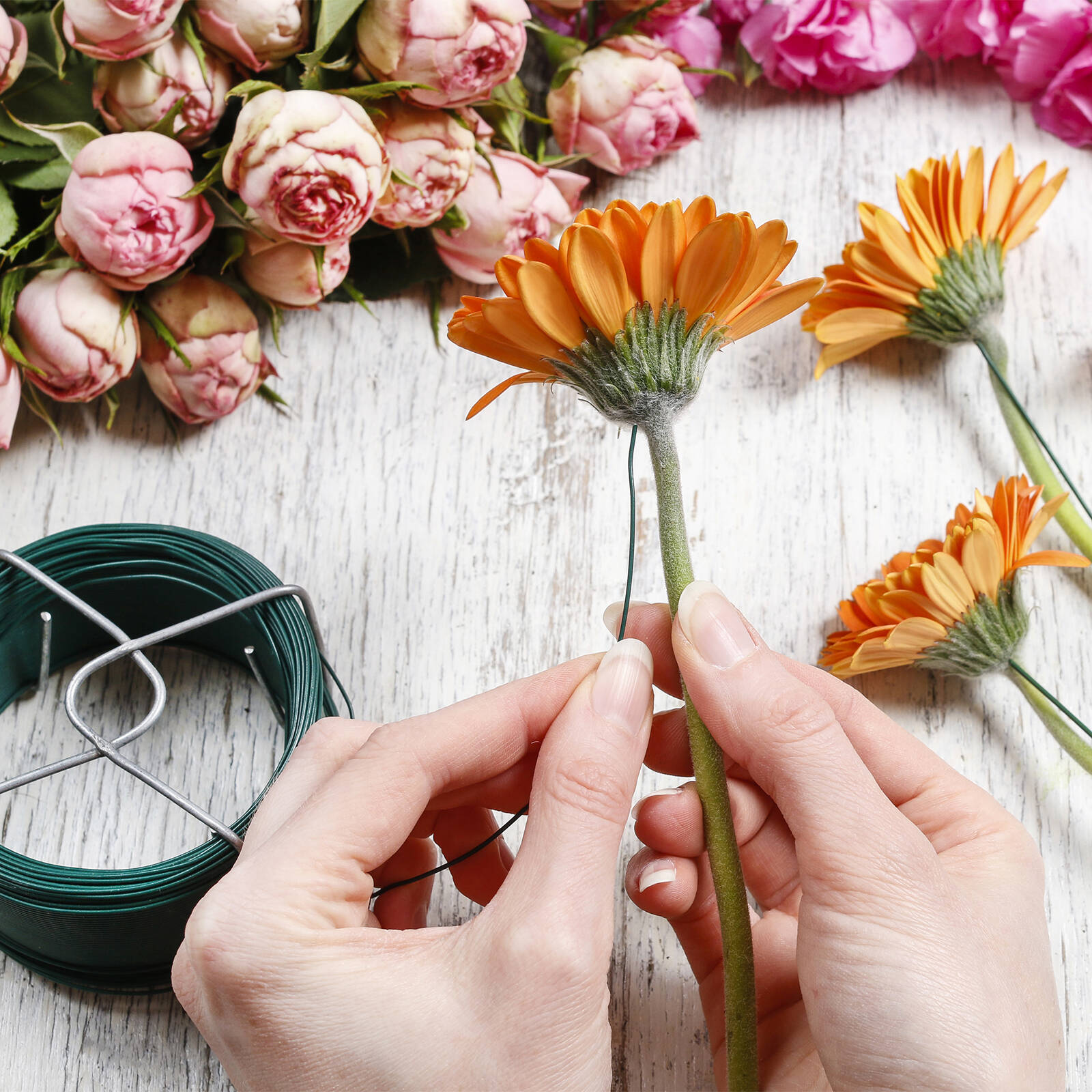 Jack 1.60mm x 20m Green PVC Coated Tie Wire 3 Jack 1.60mm x 20m Green PVC Coated Tie Wire