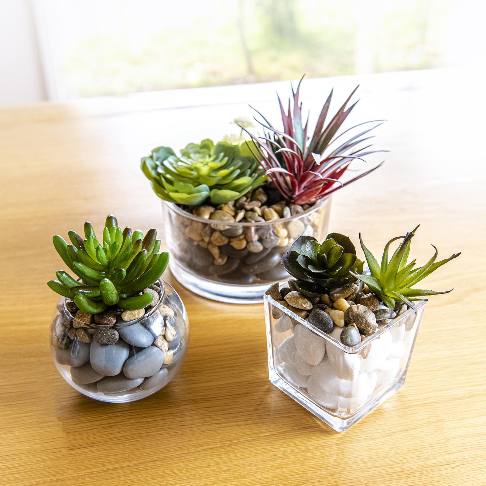 EDEN 10cm Glass Bowl Planter