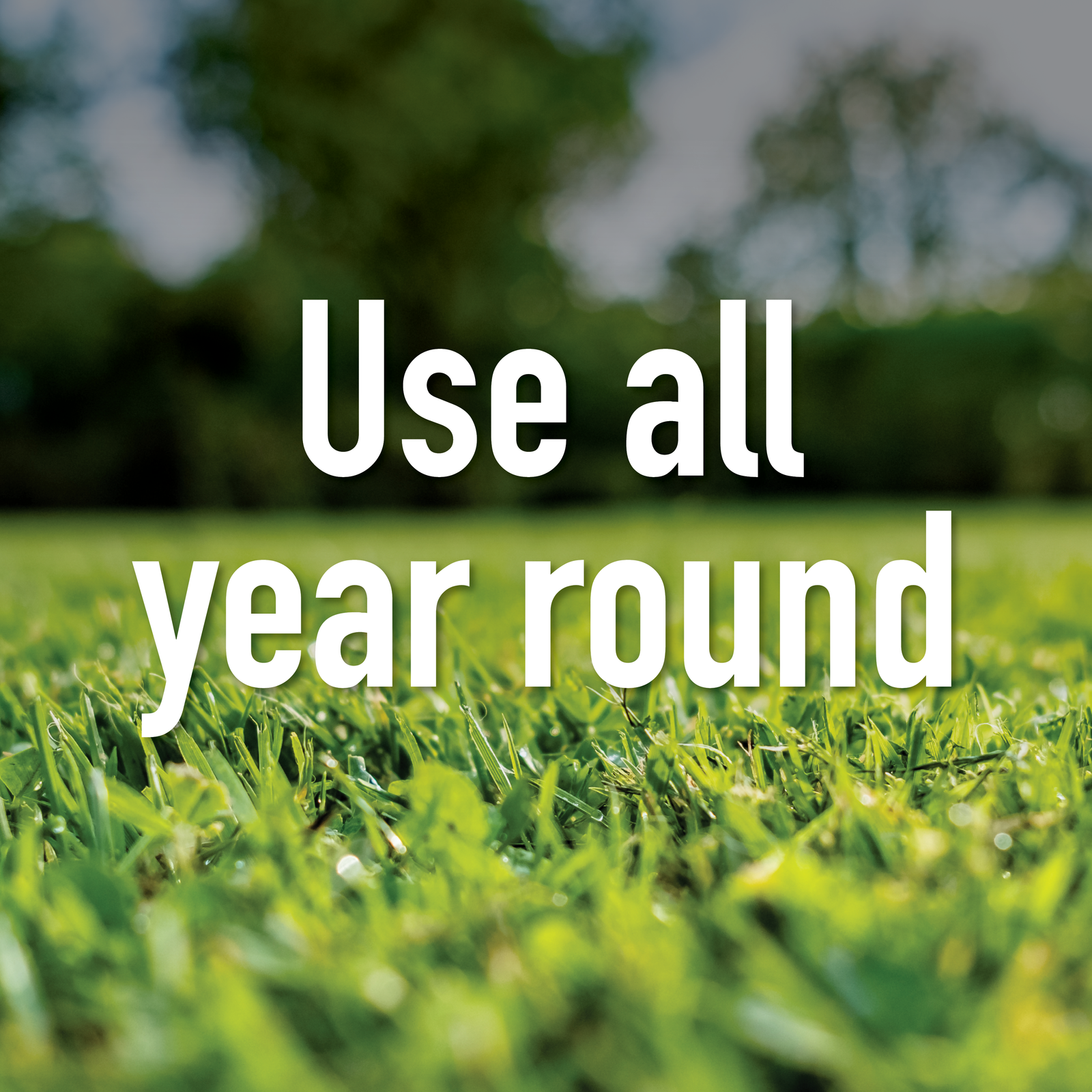 Munns Professional 5kg Buffalo Booster Weed N Feed