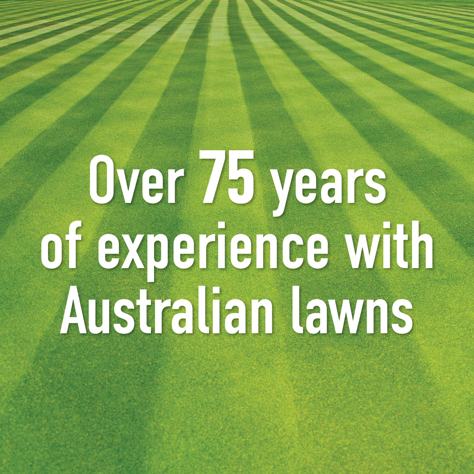 Munns Professional 5kg Buffalo Booster Weed N Feed