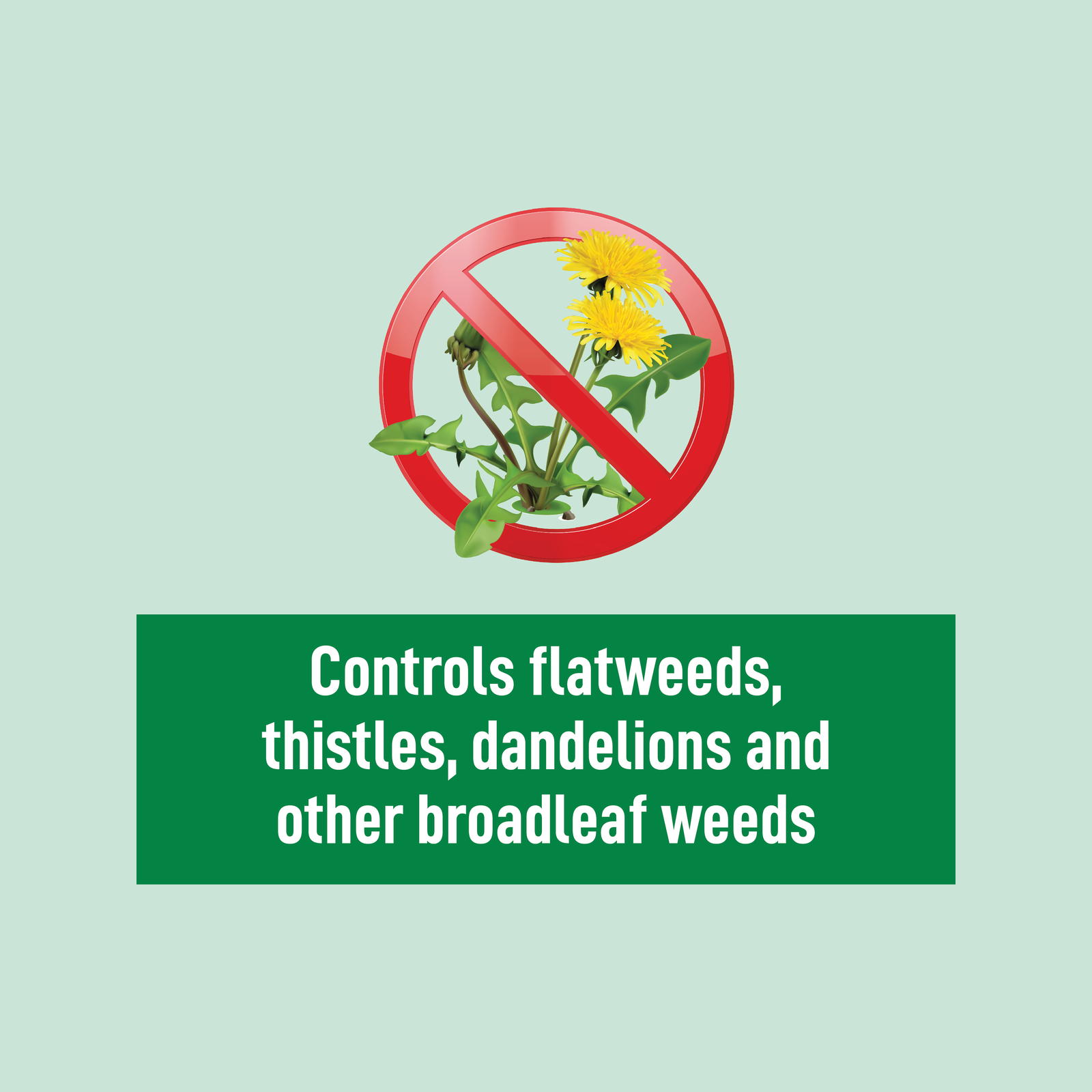 Munns Professional 5kg Buffalo Booster Weed N Feed