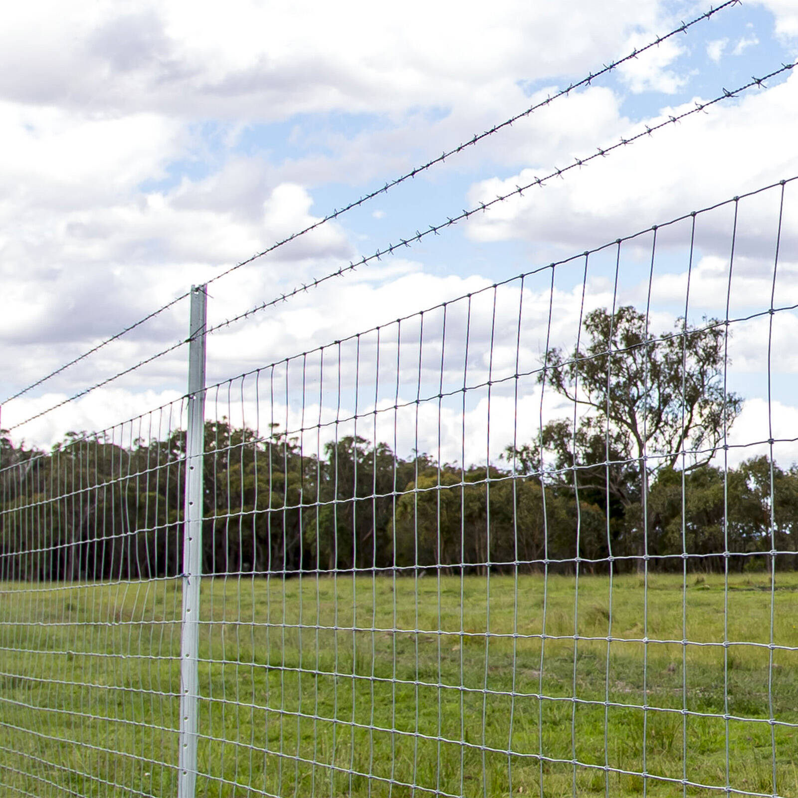 Jack 1.57mm x 100m High Tensile Barbed Wire