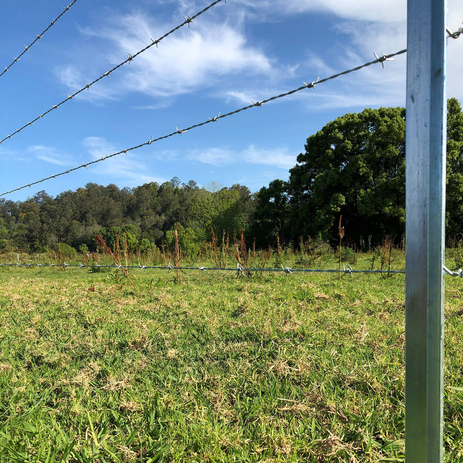 Jack 1.57mm x 100m High Tensile Barbed Wire 3 Jack 1.57mm x 100m High Tensile Barbed Wire