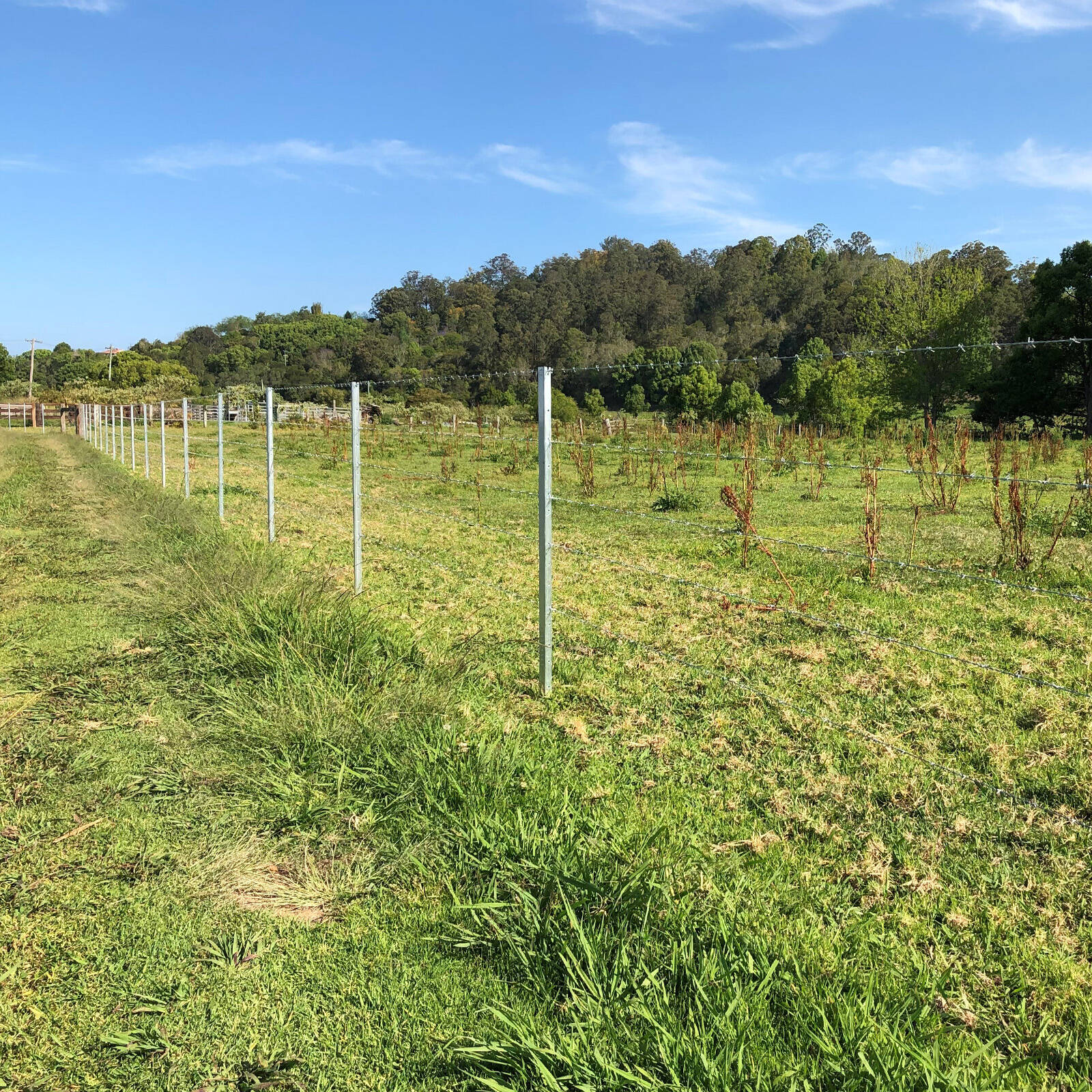 Jack 1.57mm x 100m High Tensile Barbed Wire 4 Jack 1.57mm x 100m High Tensile Barbed Wire