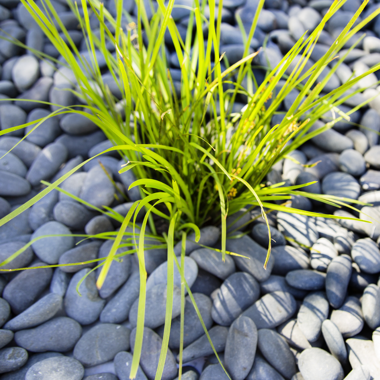 Tuscan Path 20 - 40mm 10kg Charcoal Natural Pebbles