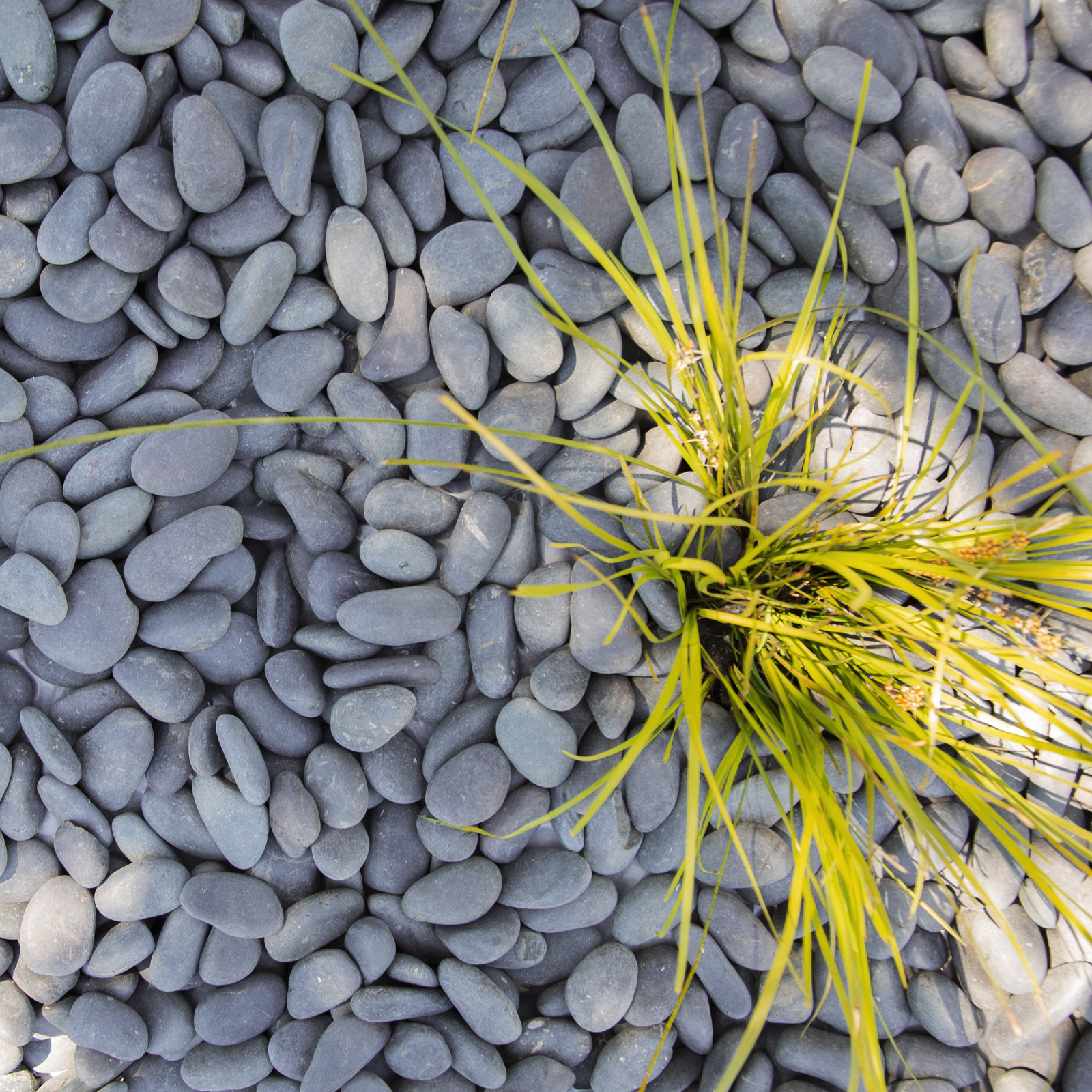 Tuscan Path 20 - 40mm 10kg Charcoal Natural Pebbles 5 Tuscan Path 20 - 40mm 10kg Charcoal Natural Pebbles