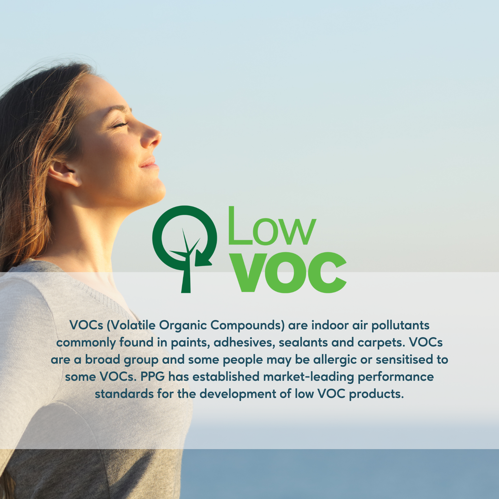 Taubmans 1L Accent Semi Gloss Water Based Enamel 6 Taubmans 1L Accent Semi Gloss Water Based Enamel