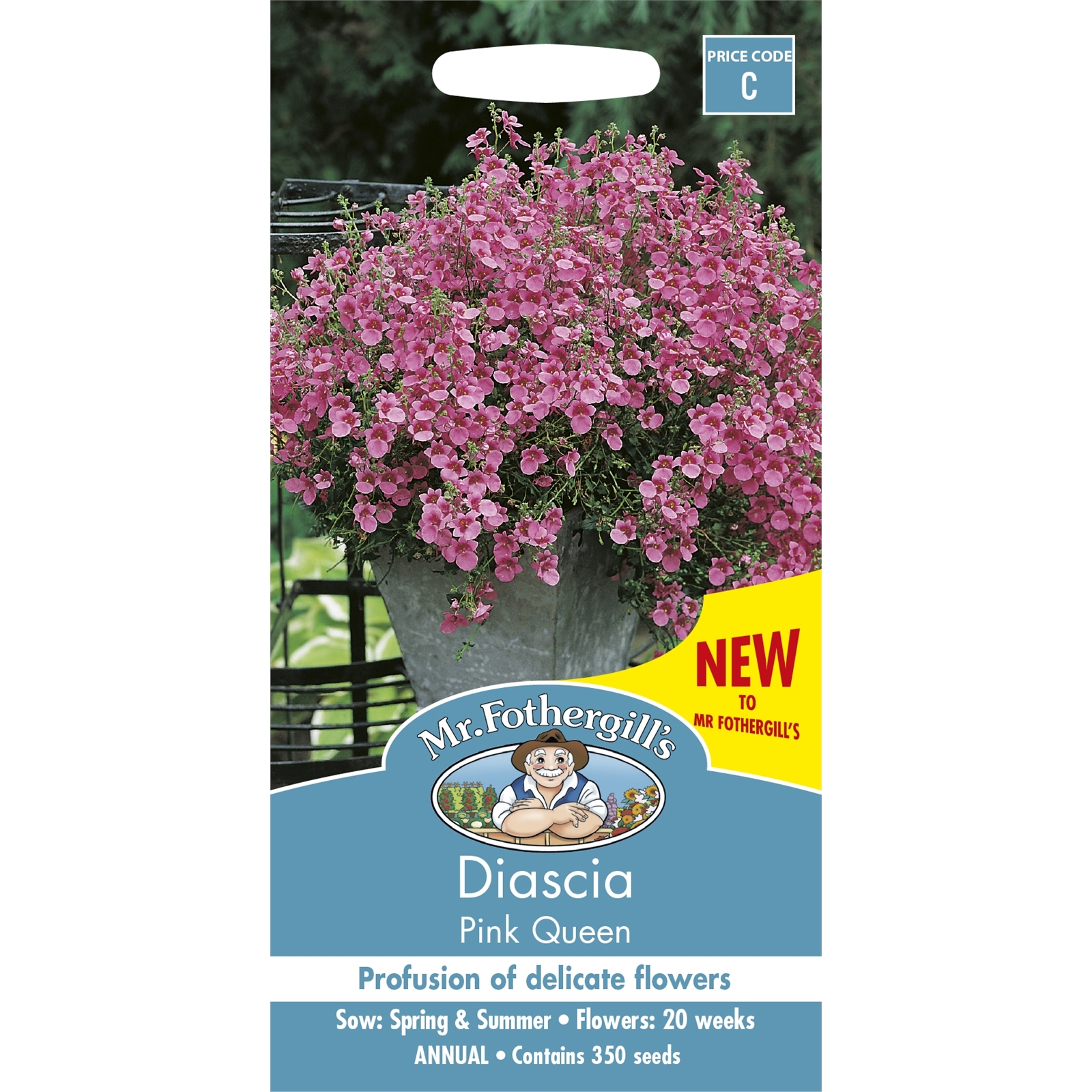 Mr Fothergill's Diascia Pink Queen