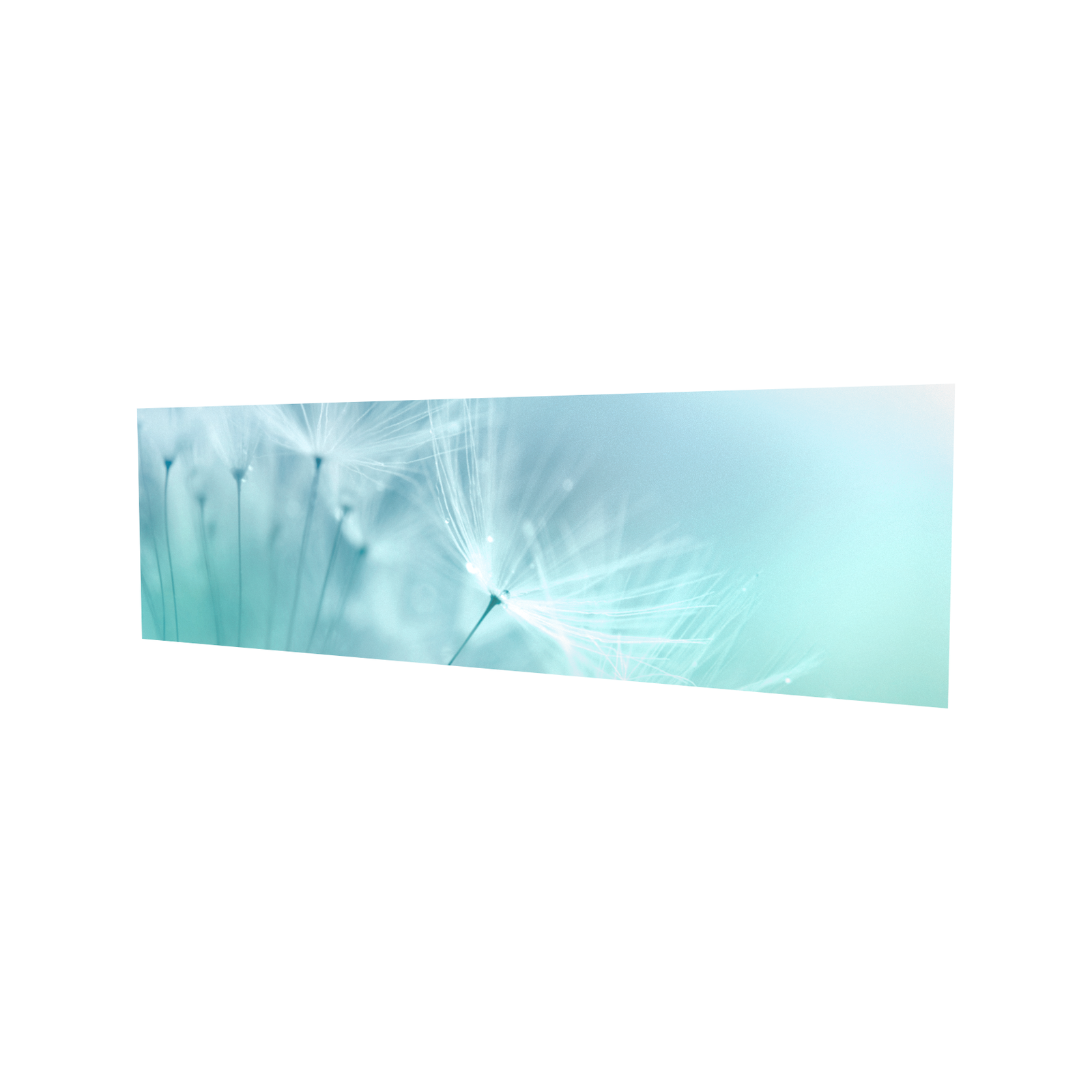 Bellessi 650mm x 595mm x 5mm Motiv Glass Filler Panel - Dandelion