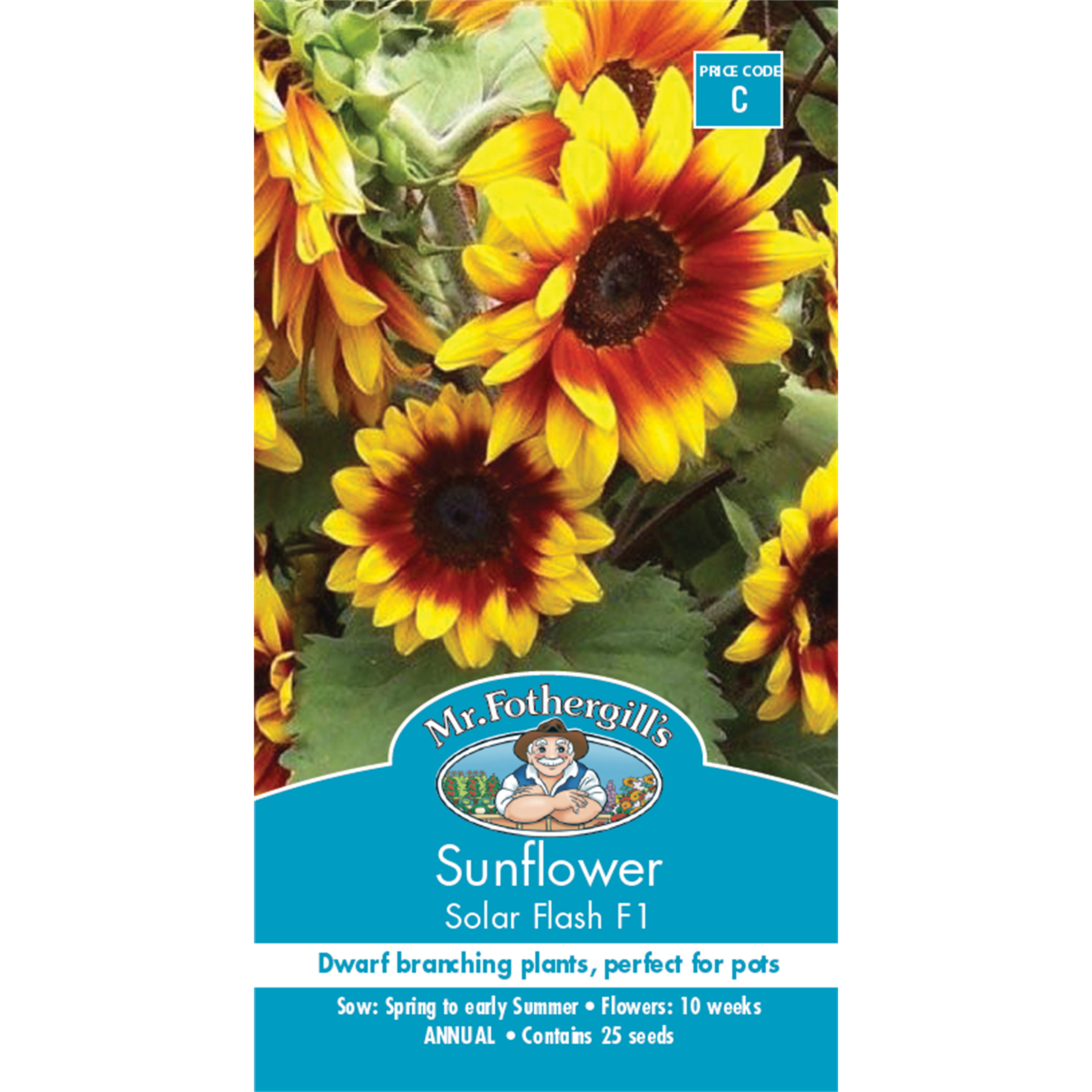 Mr Fothergill's Sunflower Solar Flash Flower Seeds