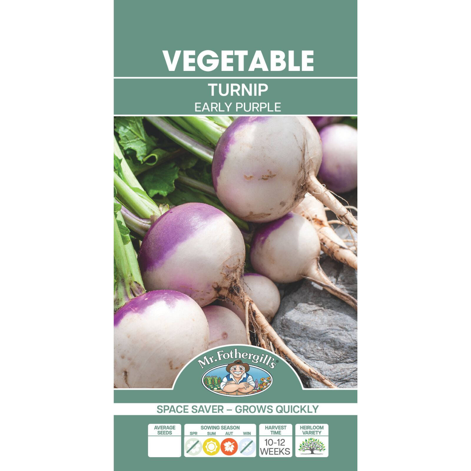 Mr Fothergill's Early Purple Turnip Vegetable Seeds