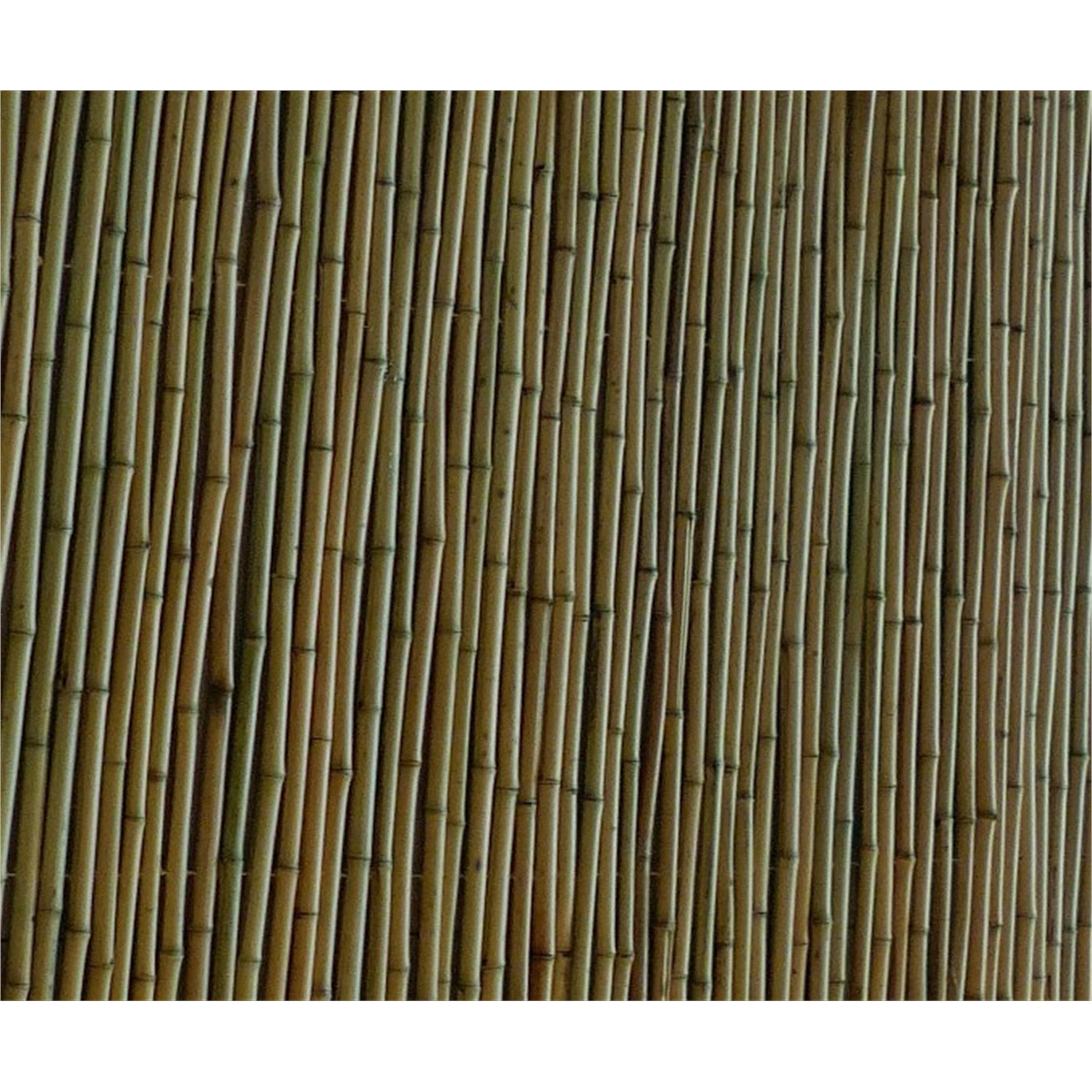 EDEN 1.8 x 1.5m Natural Bamboo Premium Screening