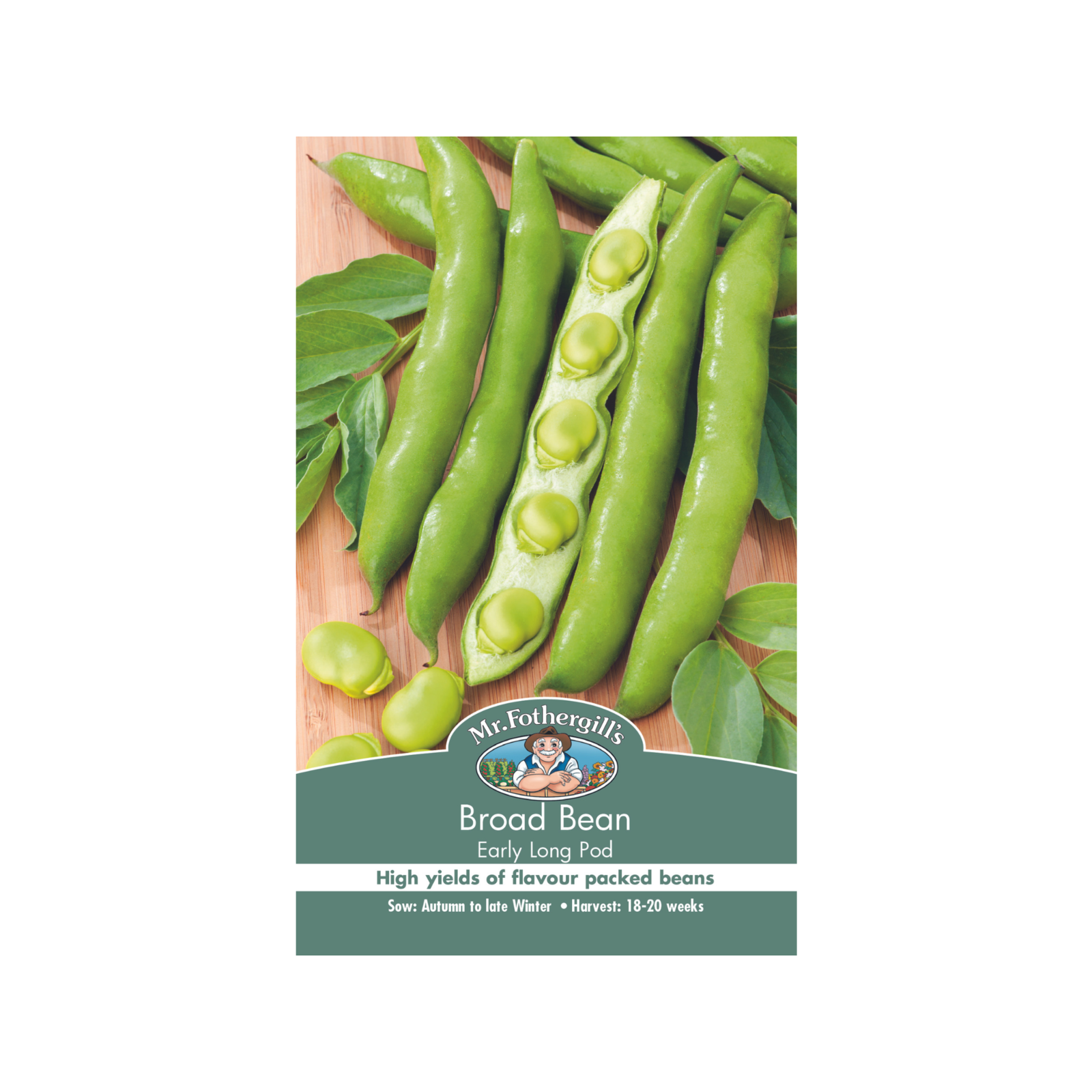 Mr Fothergill's Early Long Pod Broad Bean Vegetable Seeds