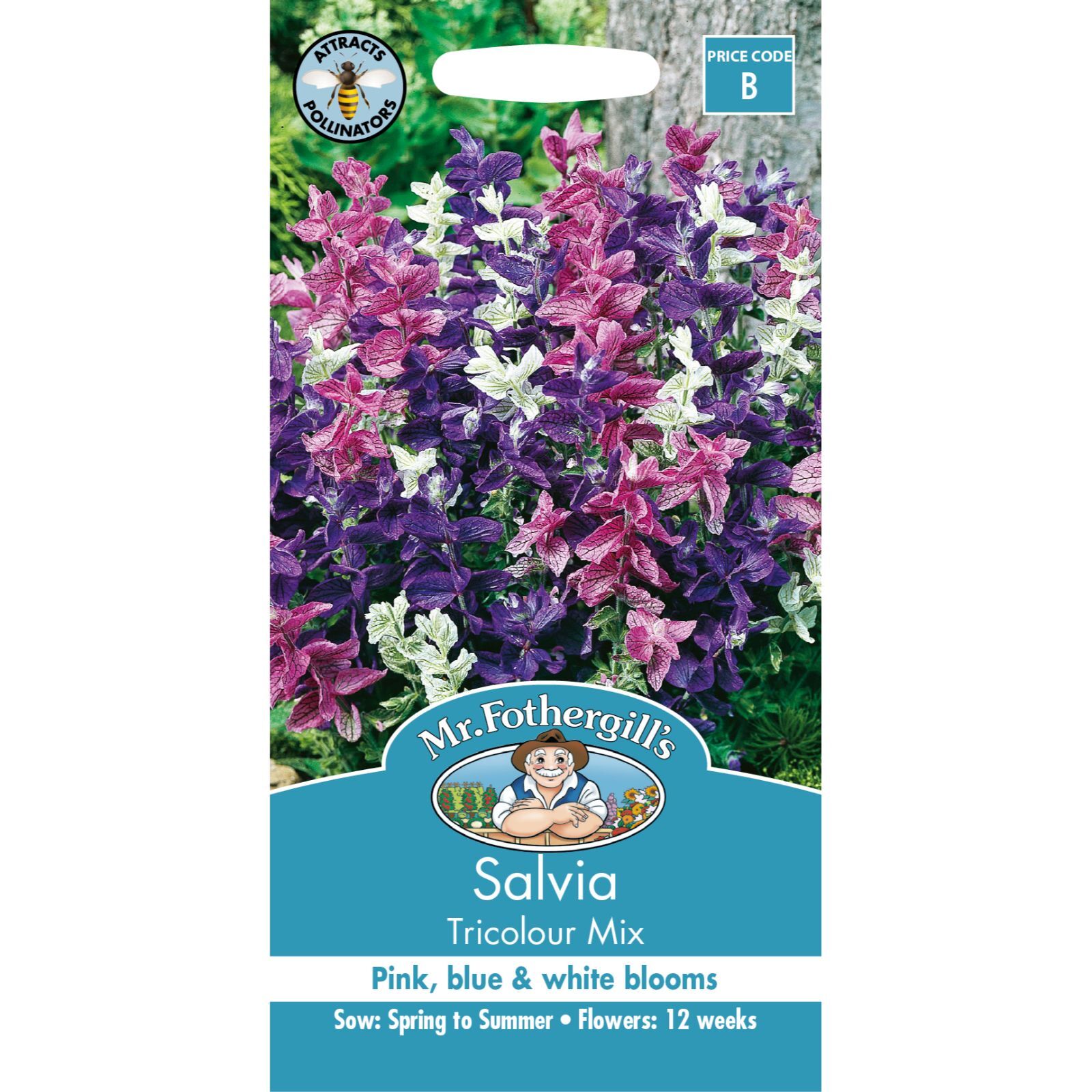 Mr Fothergill's Salvia Tricolour Mix Flower Seed