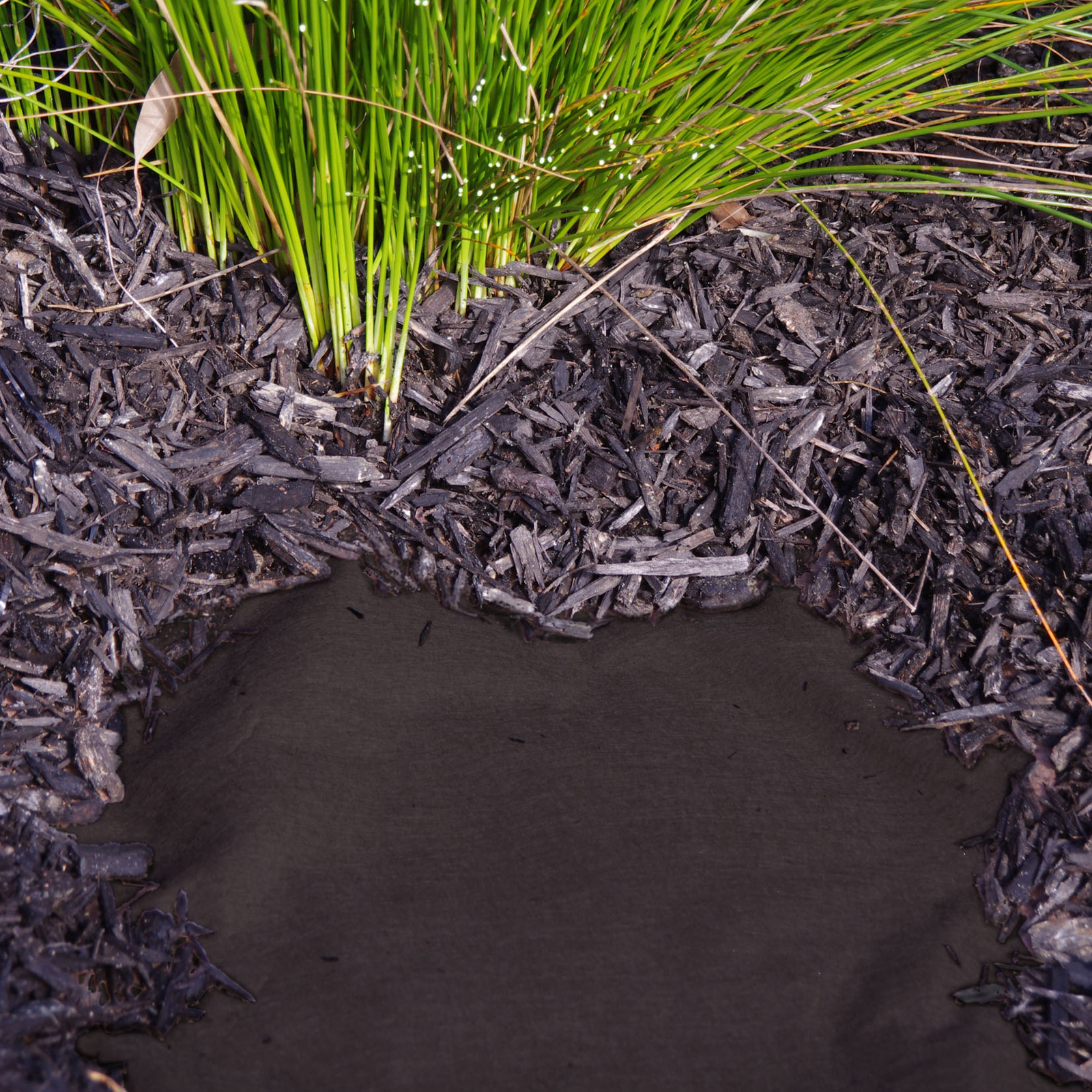 Pillar 0.9 x 10m Black Water-Lock Mulch Mat