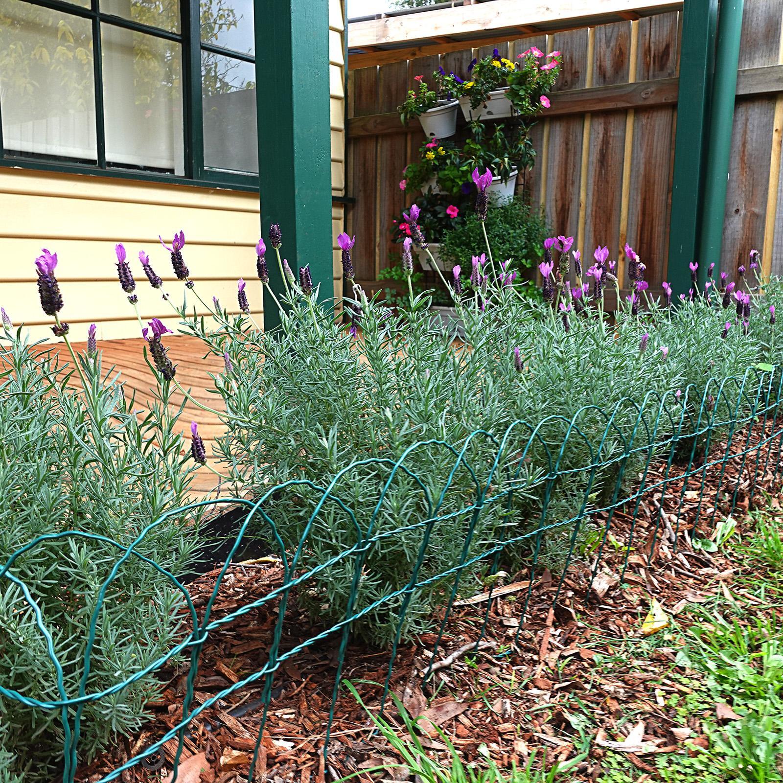 Jack 400mm x 10m Green Federation Edging