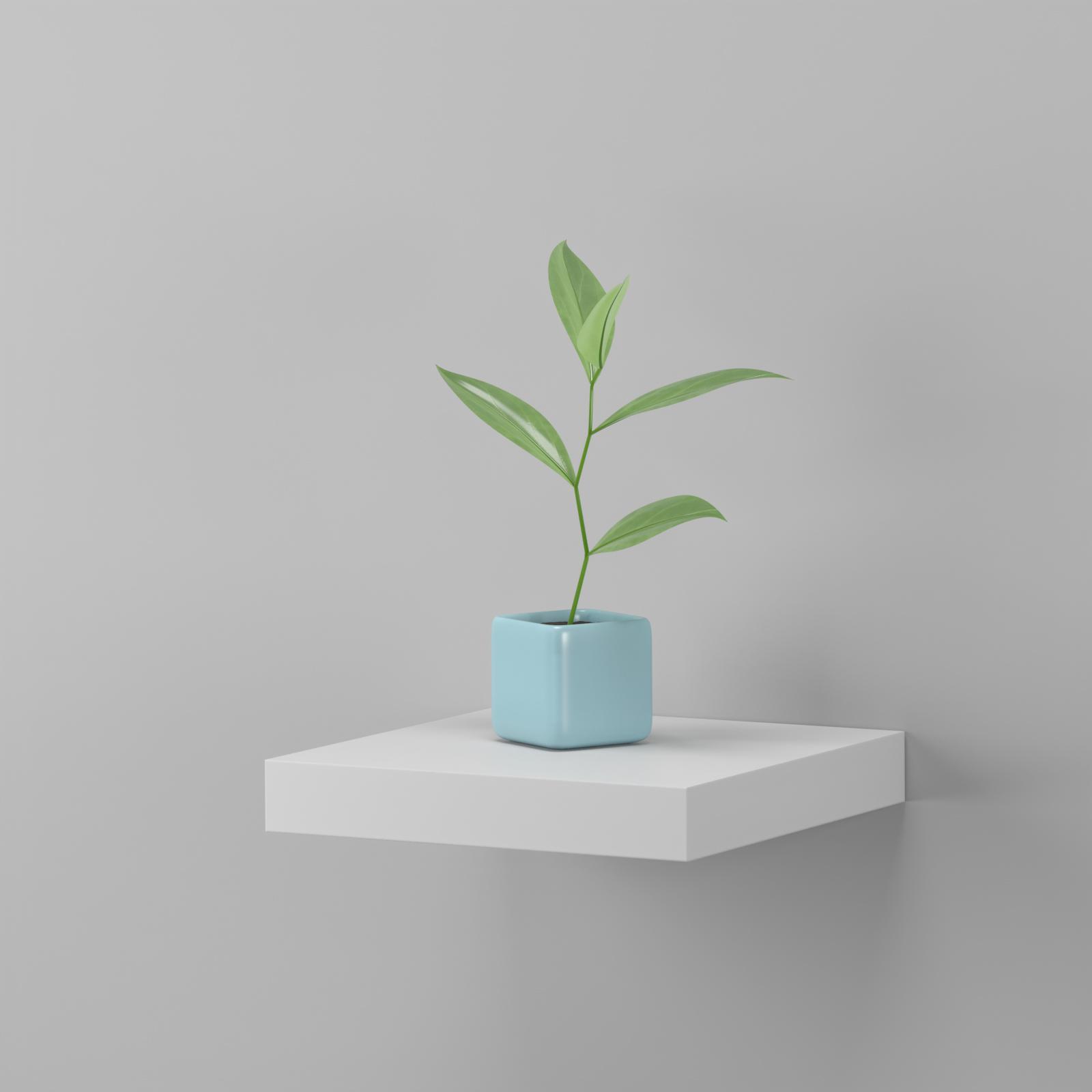 Flexi Storage Decorative Shelving 250 x 38 x 250mm White Matte Floating Shelf - Matt White 3 Flexi Storage Decorative Shelving 250 x 38 x 250mm White Matte Floating Shelf - Matt White