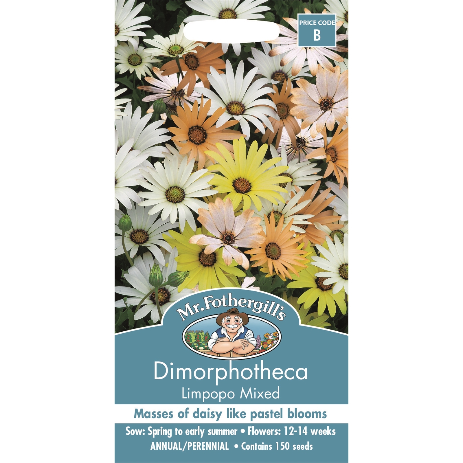 Mr Fothergill's Dimorphotheca Limpopo Mixed