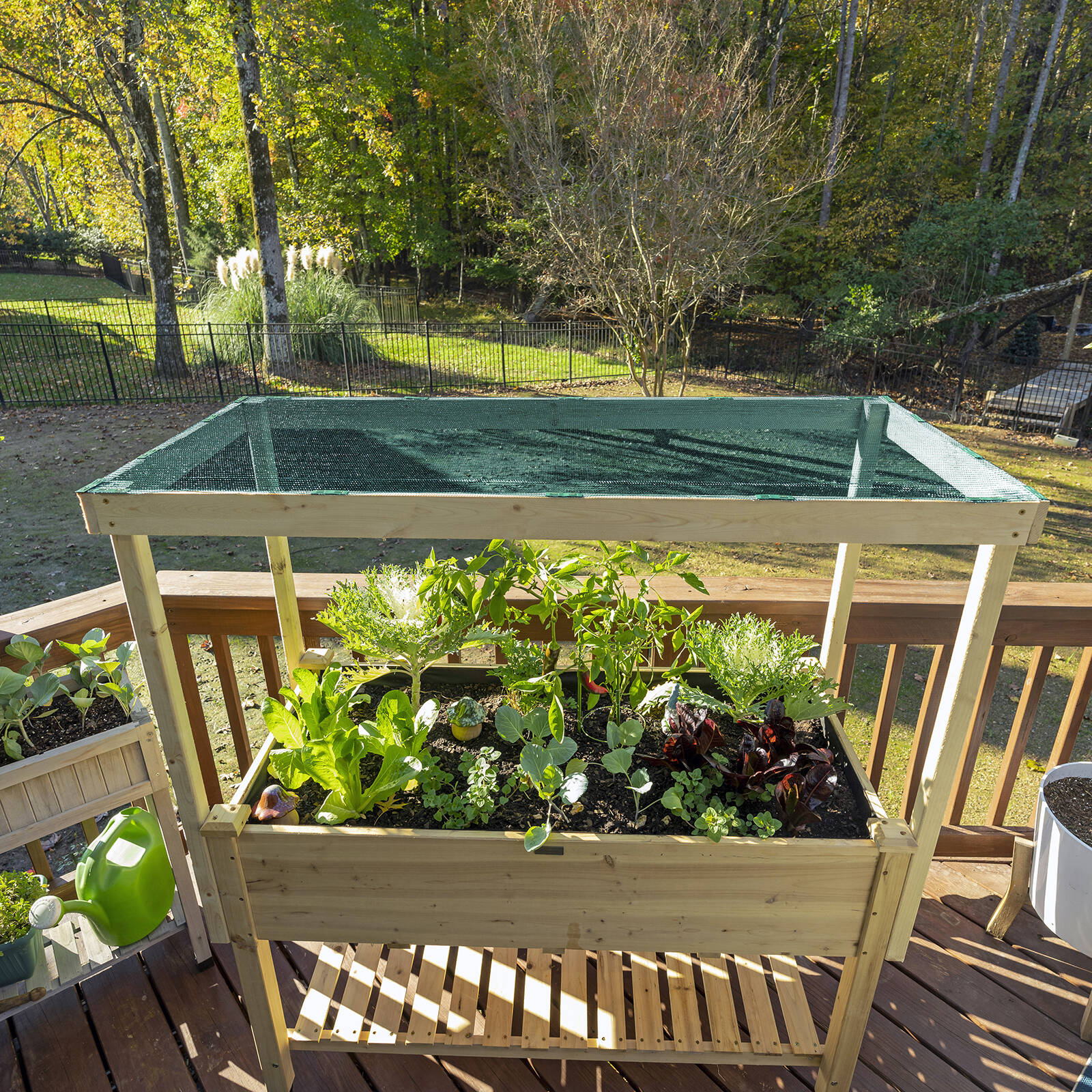 Coolaroo 3.66m Wide Rainforest Garden Shade Cloth 50% UV Block – P/Mtr 3 Coolaroo 3.66m Wide Rainforest Garden Shade Cloth 50% UV Block – P/Mtr