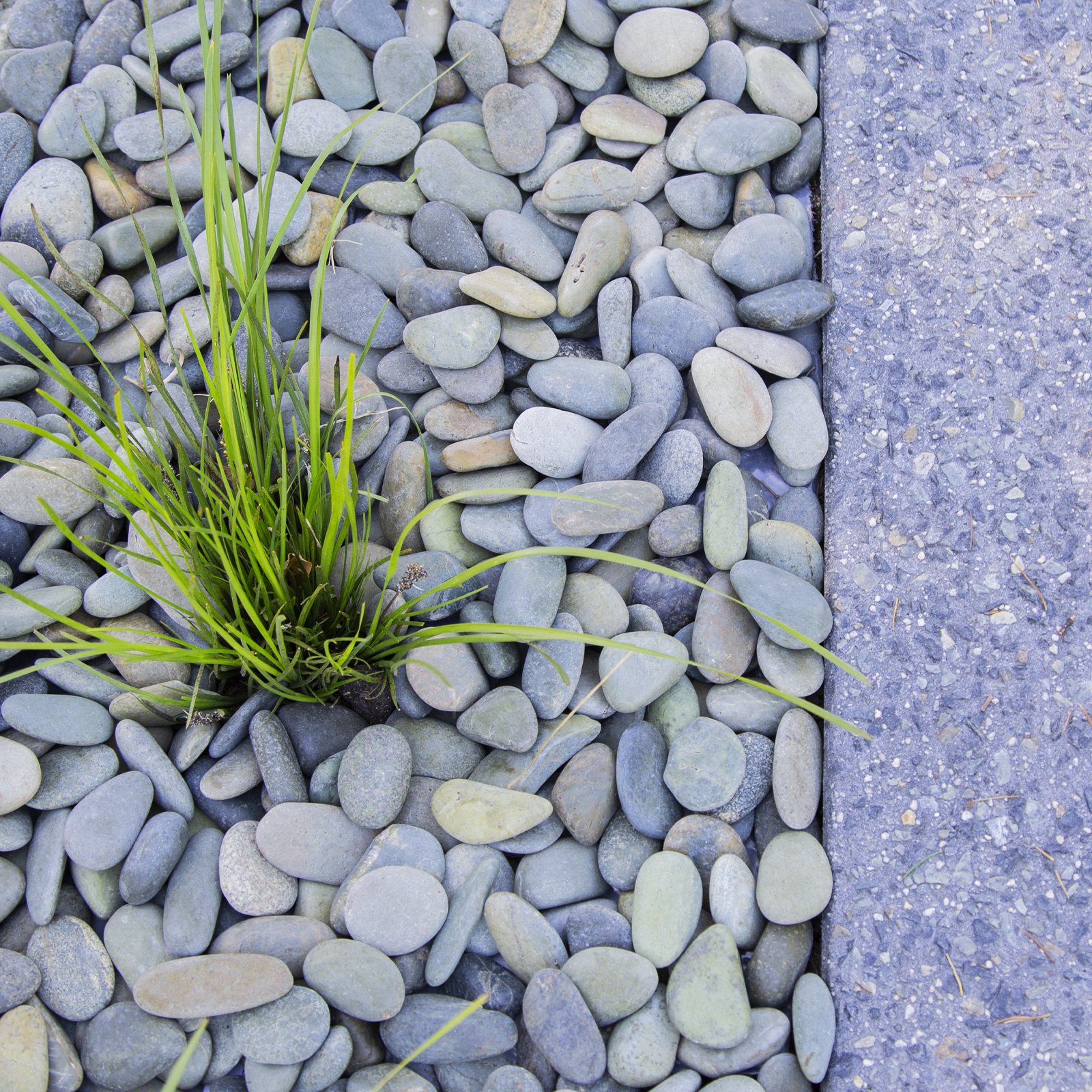 Tuscan Path 30 - 50mm 10kg Green Wash Pebbles