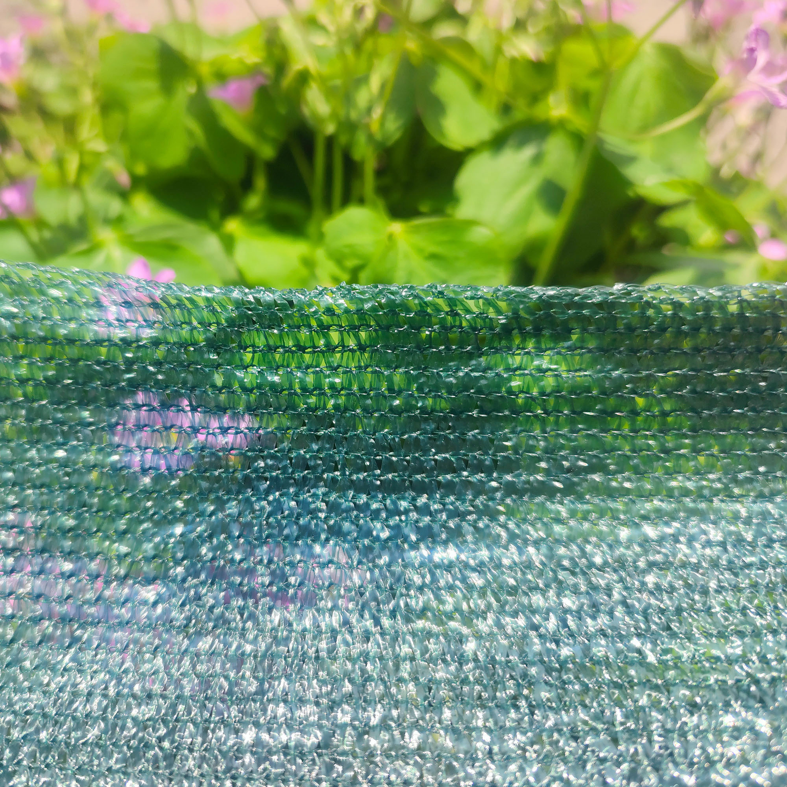 Pillar 3.66 x 5m Green 30% UV Cover Hail And Shade Mesh - 3.66m 4 Pillar 3.66 x 5m Green 30% UV Cover Hail And Shade Mesh - 3.66m