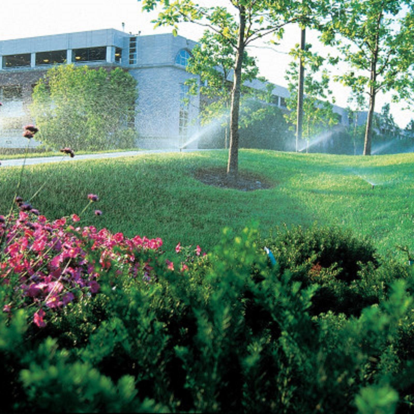 Rain Bird 100mm 4" 1800 Adjustable Spray 1.2m 4' Pop-Up Sprinkler 3 Rain Bird 100mm 4" 1800 Adjustable Spray 1.2m 4' Pop-Up Sprinkler