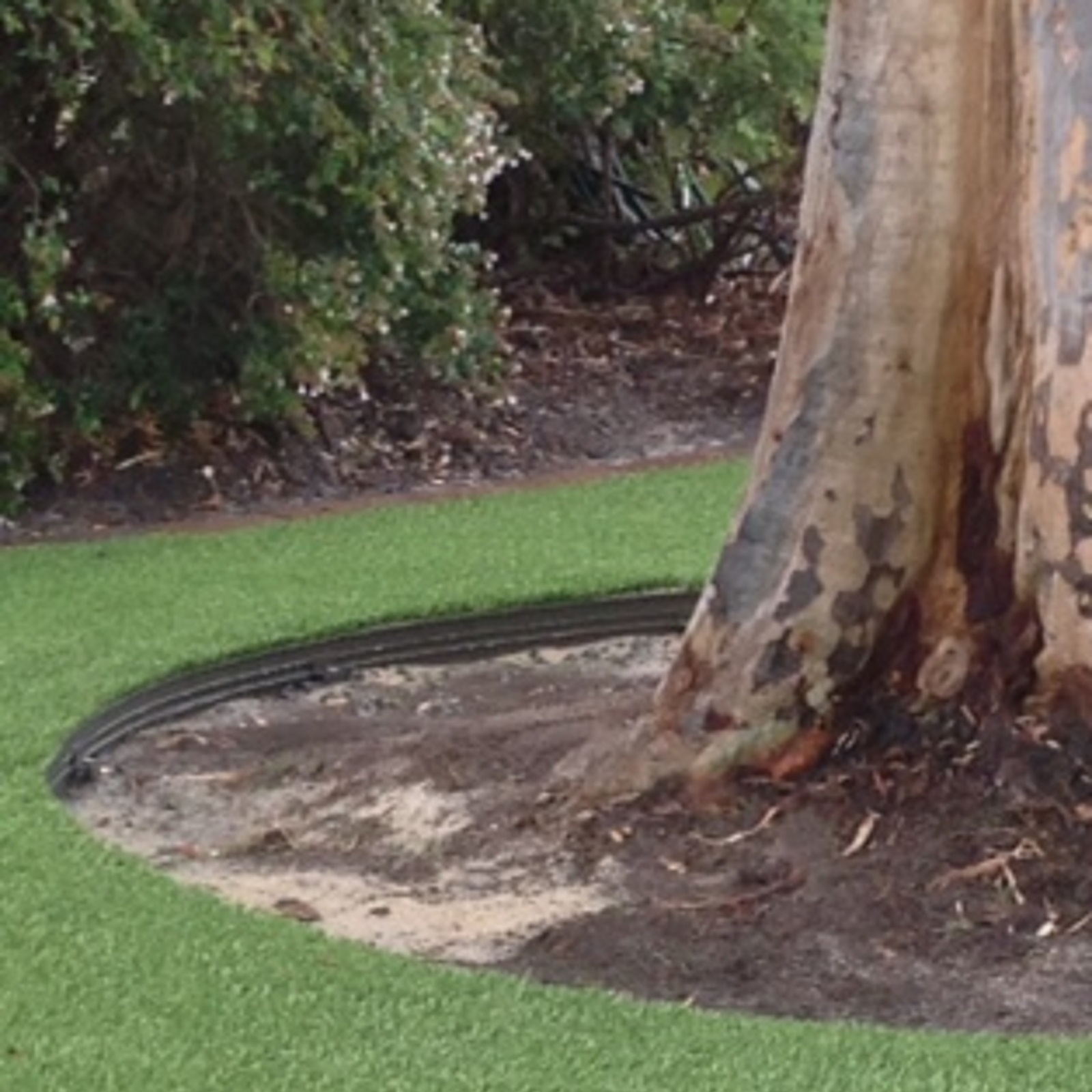 Tuff Edge 2m Olive Powder Coated Aluminium Garden Edge - 6 Pack 7 Tuff Edge 2m Olive Powder Coated Aluminium Garden Edge - 6 Pack