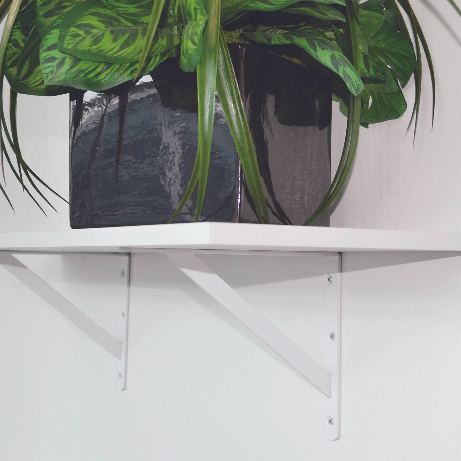 Carinya 300 x 250mm White Light Stayed Bracket 4 Carinya 300 x 250mm White Light Stayed Bracket