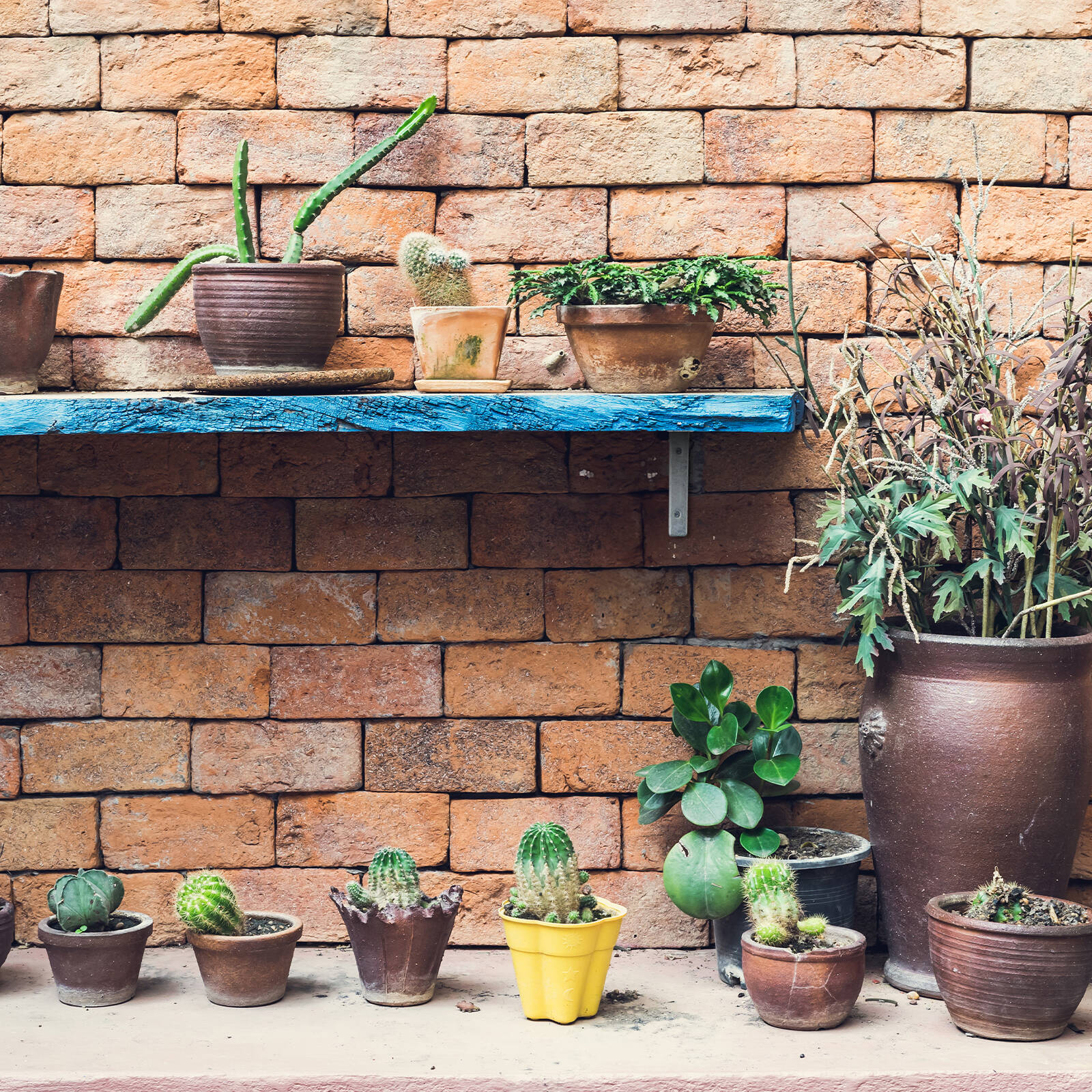 Carinya 125 x 100mm Heavy Duty Hot Dipped Galvanised Angle Bracket 4 Carinya 125 x 100mm Heavy Duty Hot Dipped Galvanised Angle Bracket