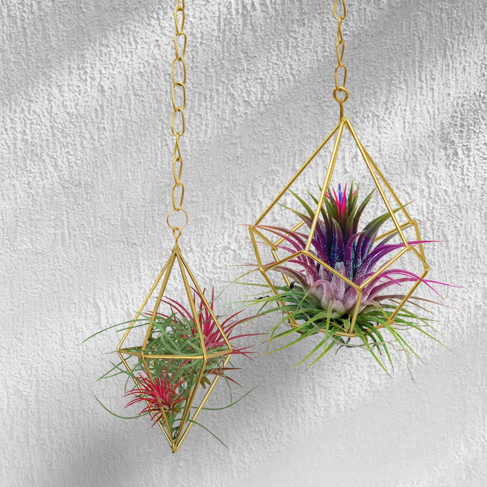 Jack 10.5 x 13.5cm Gold Geo Hanging Planter