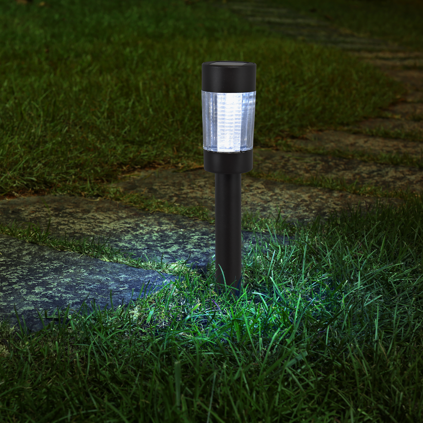 Click Canyon Solar LED Pathway Light