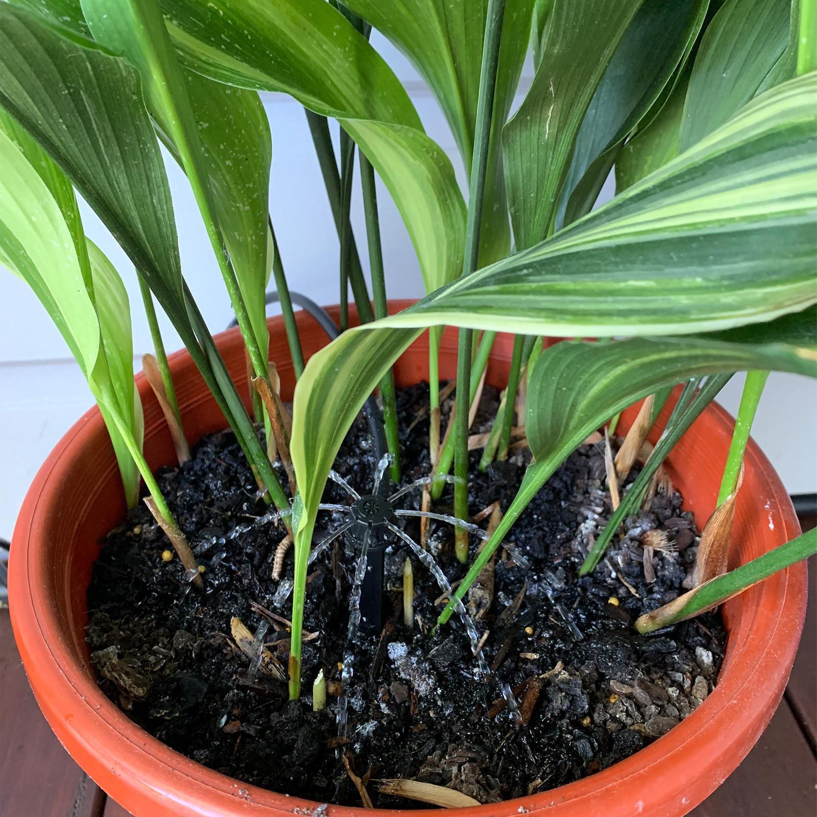 Holman 4mm x 30m Ezy Flex Drip Tube 4 Holman 4mm x 30m Ezy Flex Drip Tube