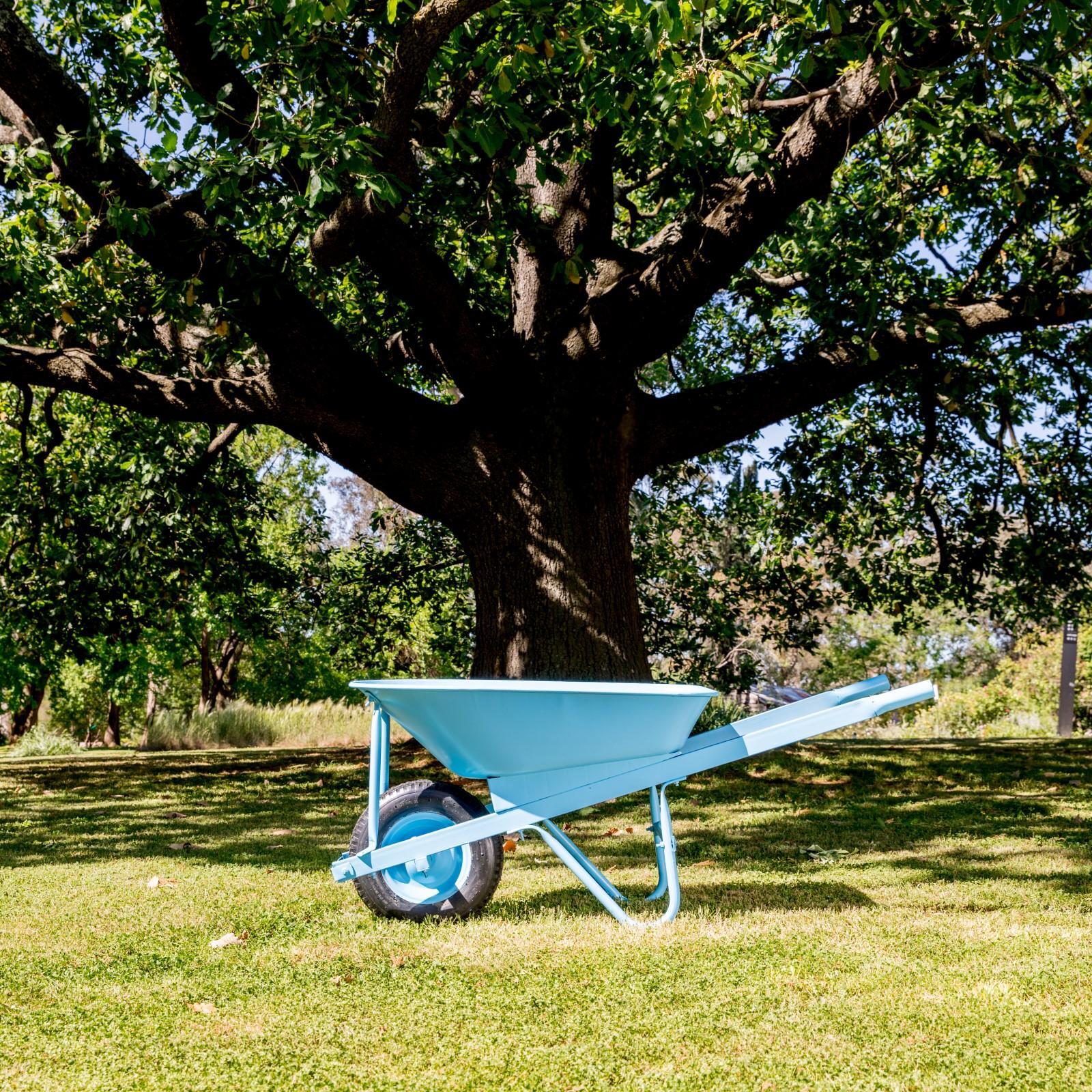 White Knight 0.5L Rust Guard Fish Oil