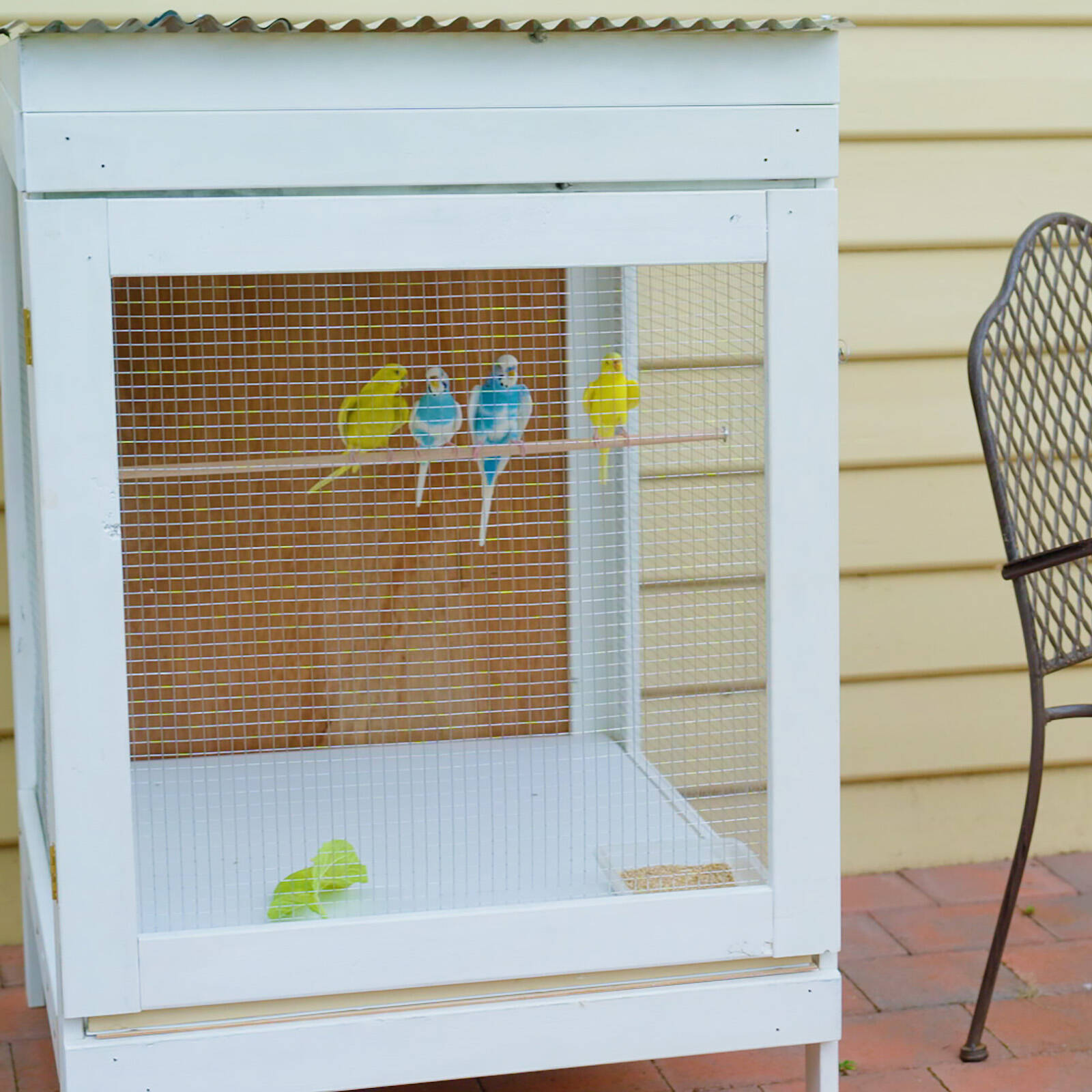 Jack 90cm x 30m 12 x 12mm Aviary Mesh 3 Jack 90cm x 30m 12 x 12mm Aviary Mesh