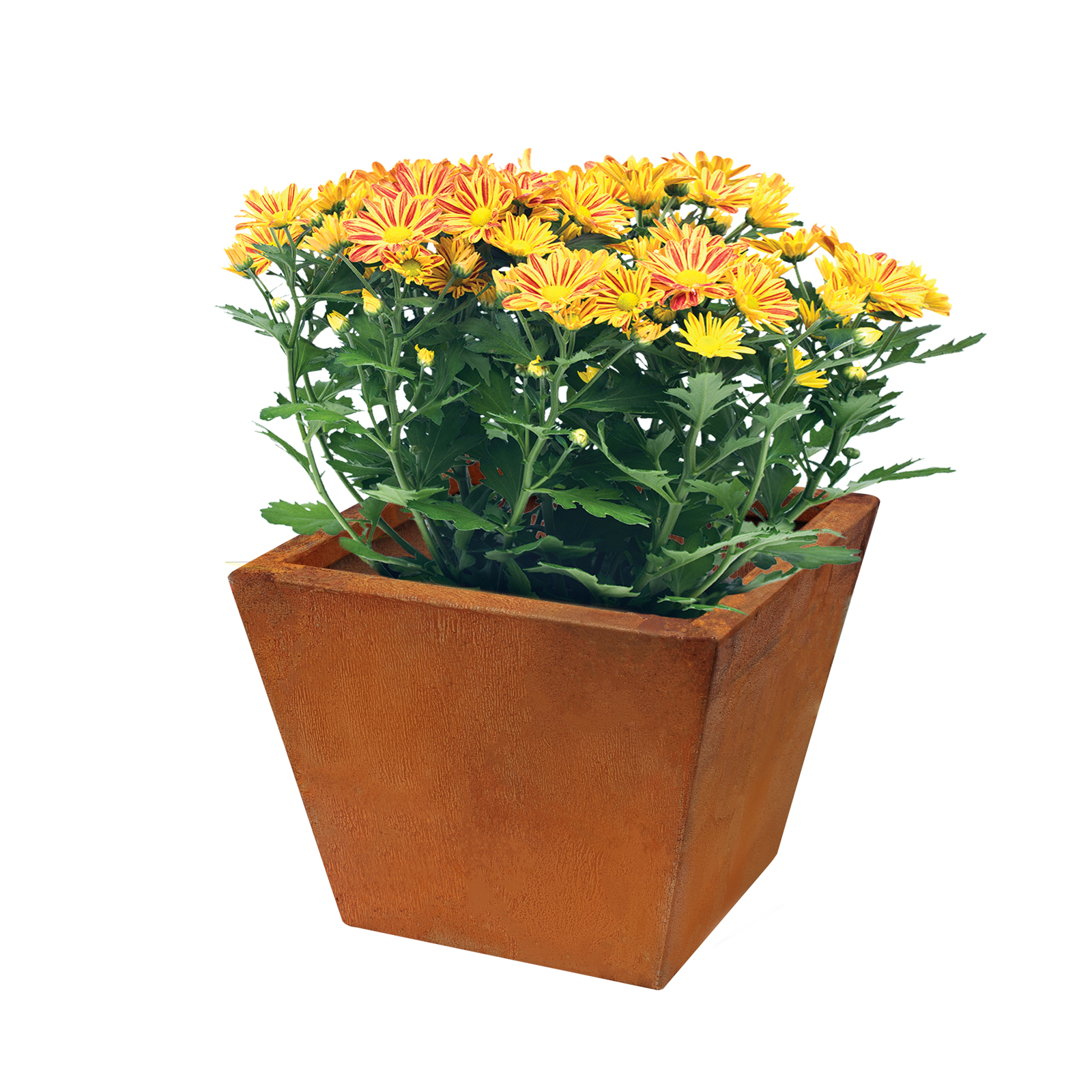 Jack 20 x 25 x 25cm Square Copa Taper Oxy-Shield Planter - 200mm