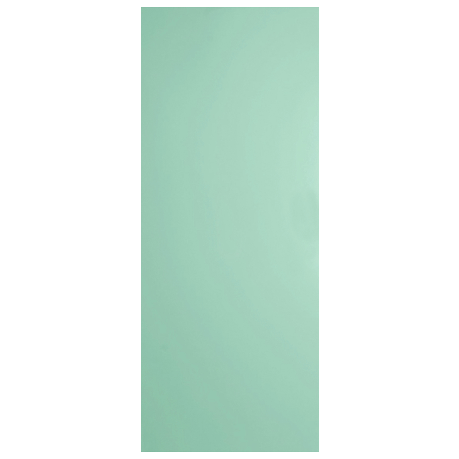 Hume 2040 x 620 x 35mm External Door Duracote Flush Solicore SCX1