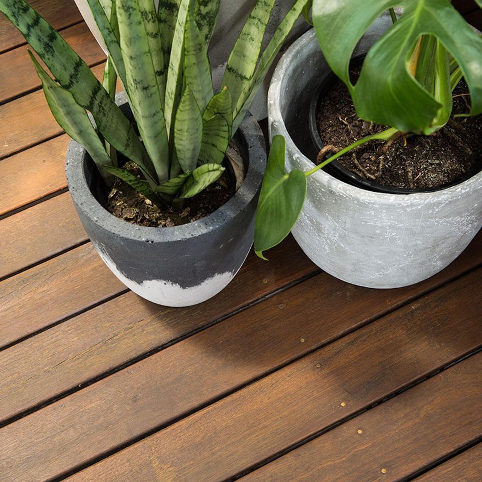 Feast Watson 250ml Natural Matt Look Decking Oil - Natural