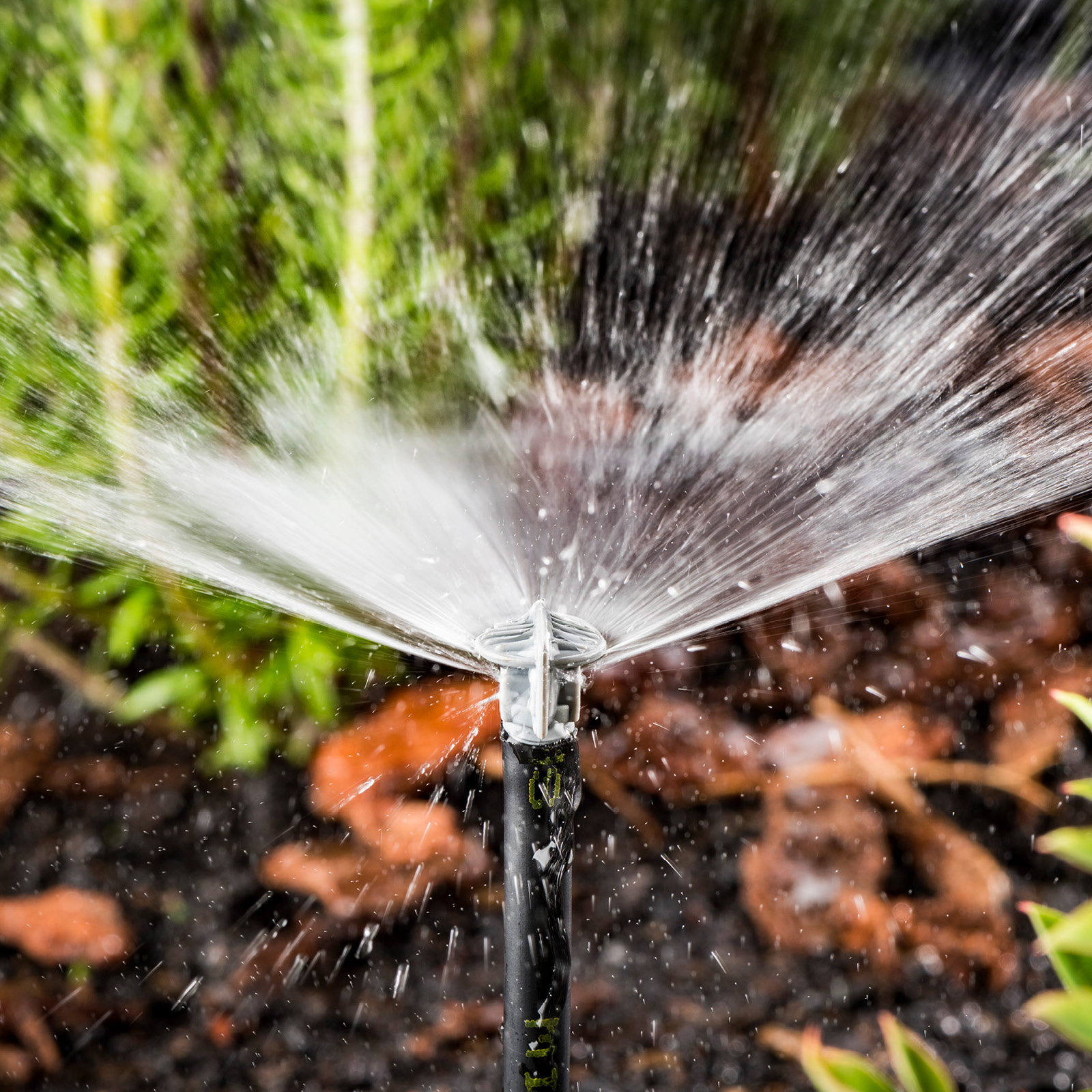 Pope Half Circle Jet Spray - 10 Pack