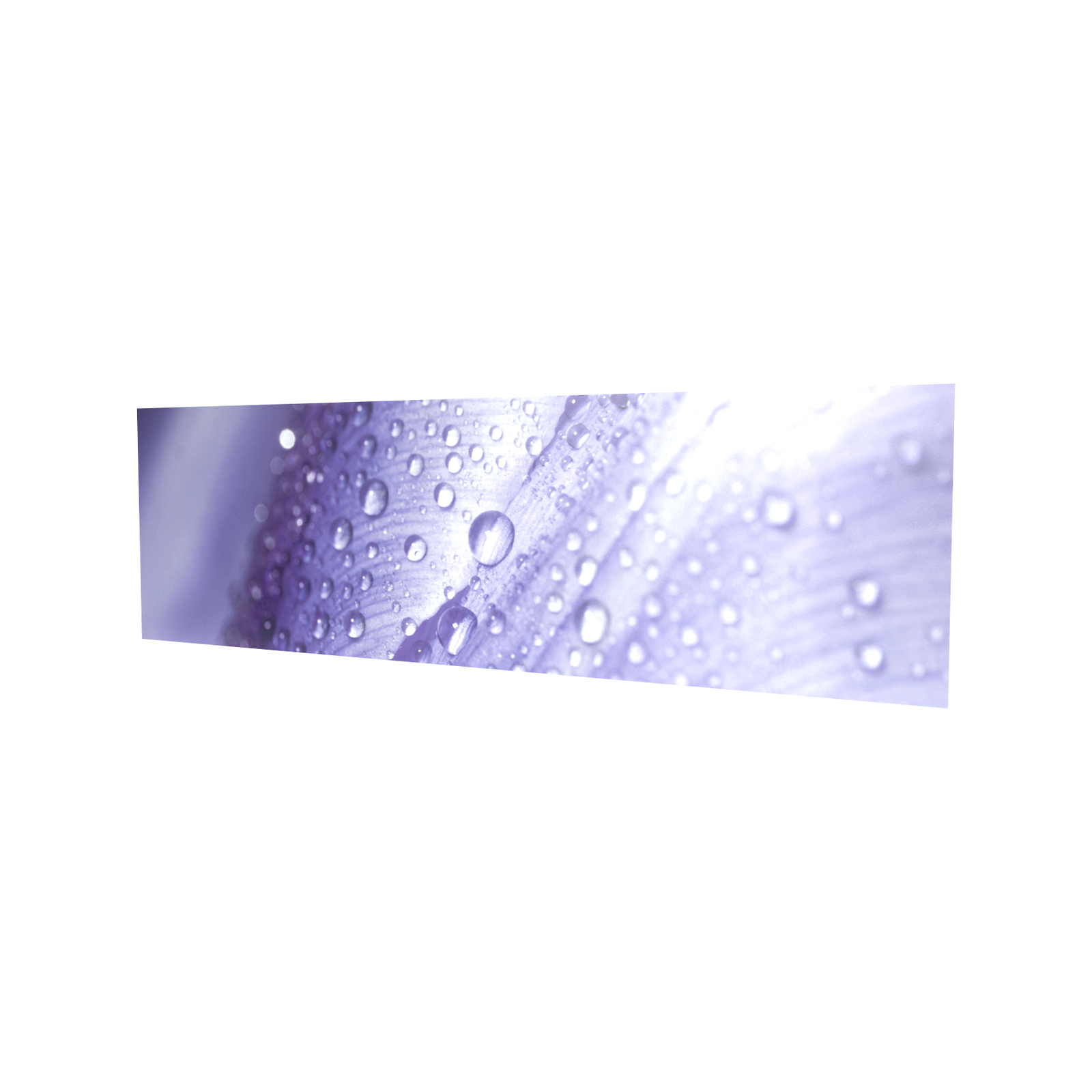 Bellessi 1220mm x 3050mm x 6mm Motiv Polymer Bathroom Panel - Purple Drops